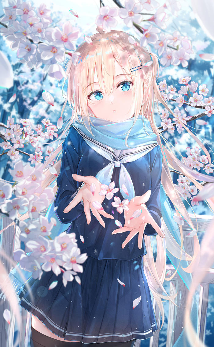 雪桜插画图片壁纸