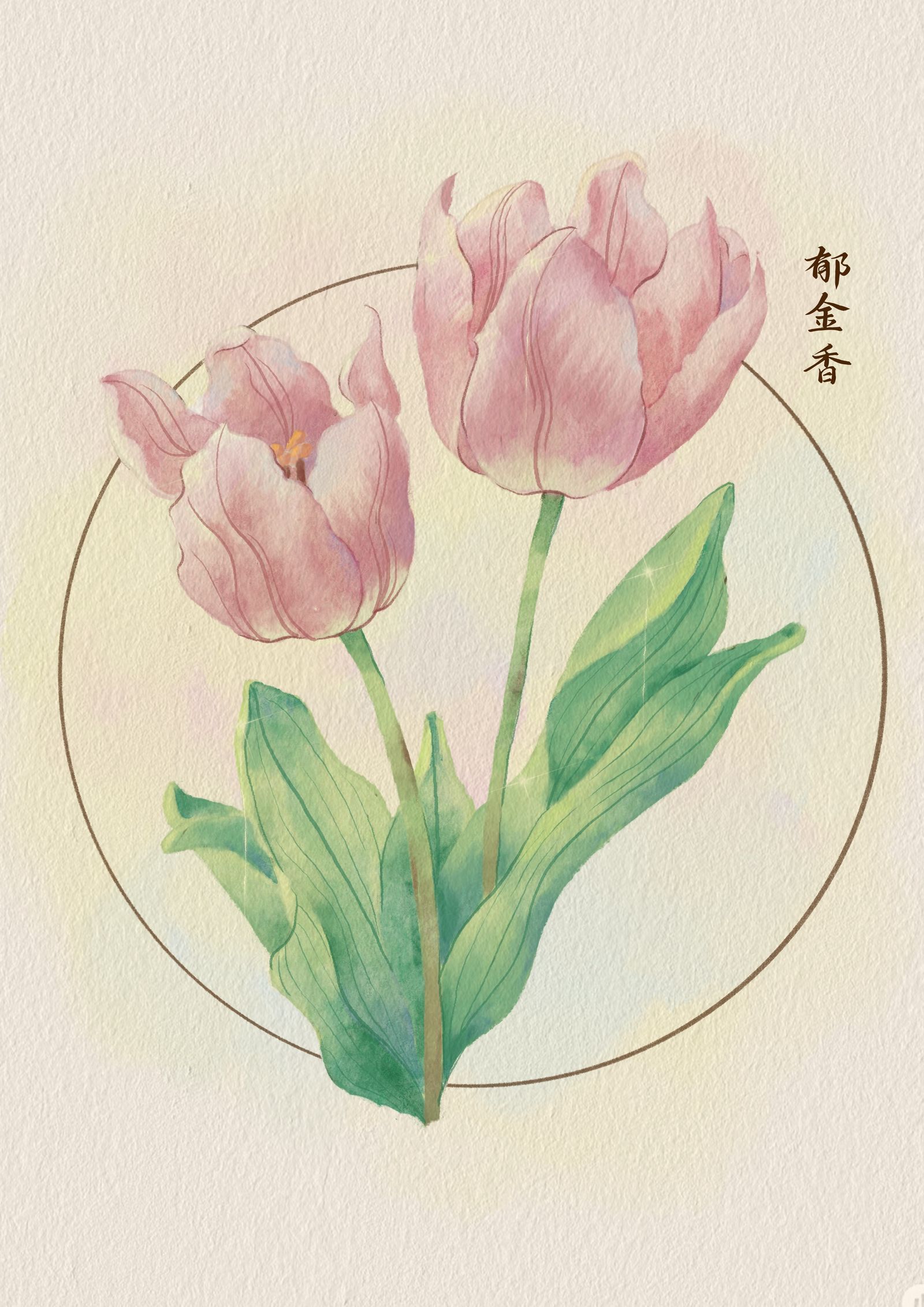 花卉插画图片壁纸