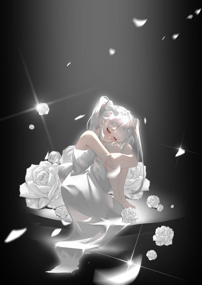 白玫瑰少女插画图片壁纸