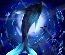 神秘海洋-壁纸鲸鱼
