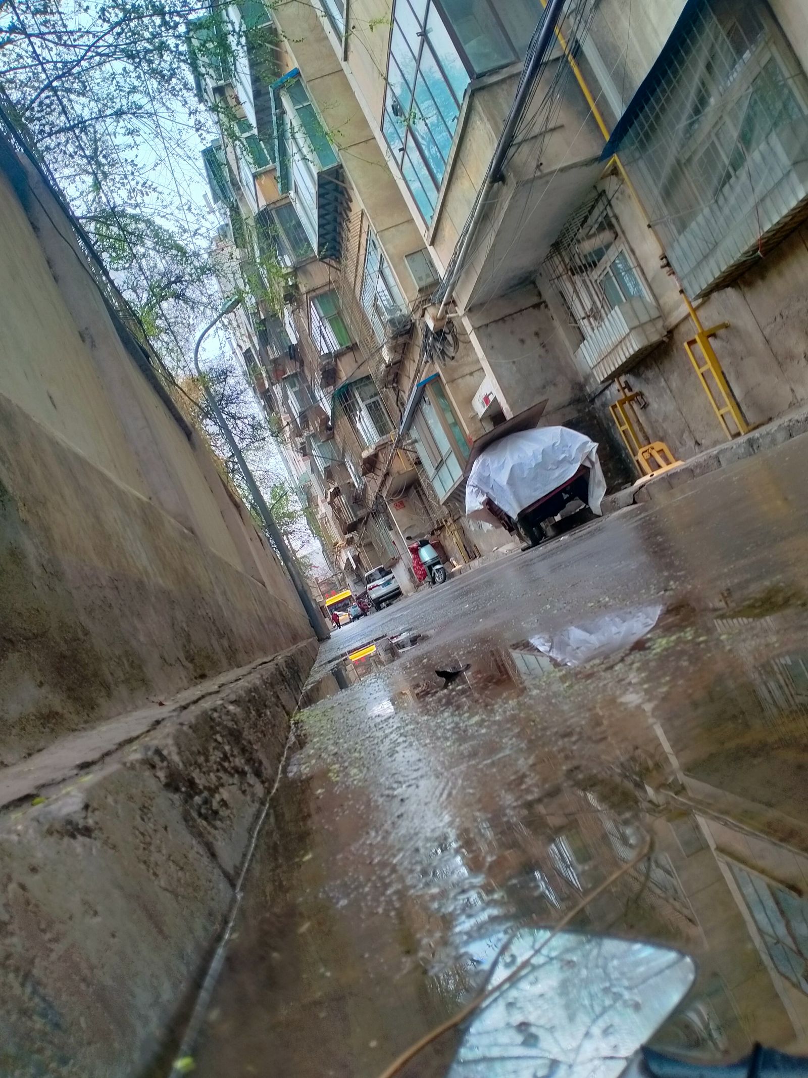 雨至头像同人高清图