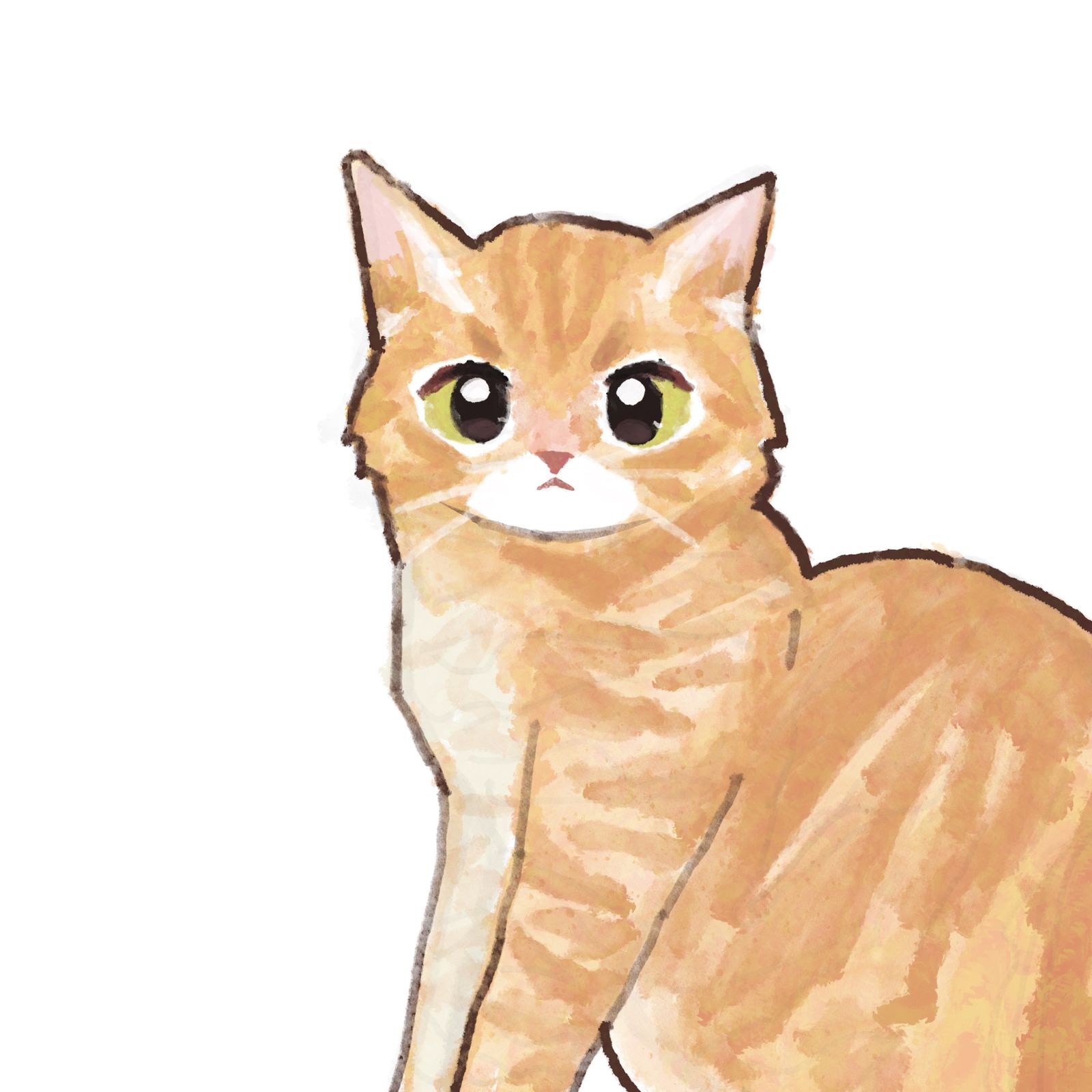 小橘美女-猫猫咪