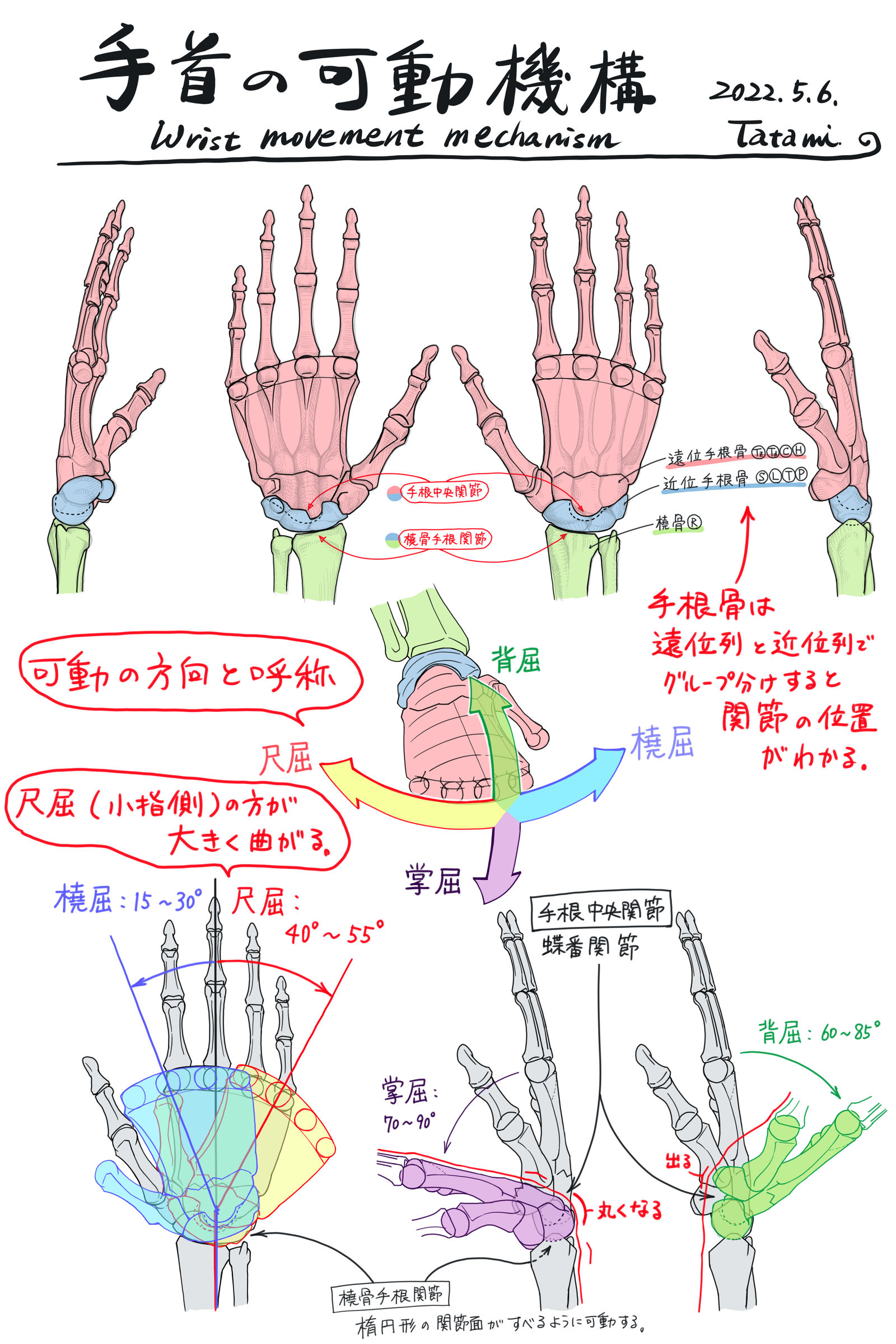 手首の可動機構插画图片壁纸