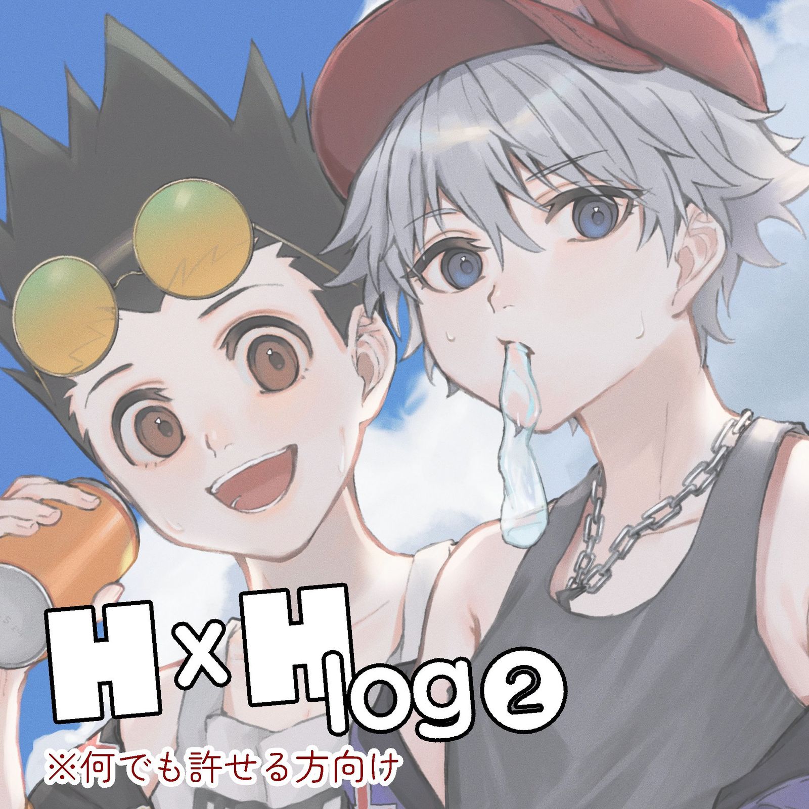 hxh log2