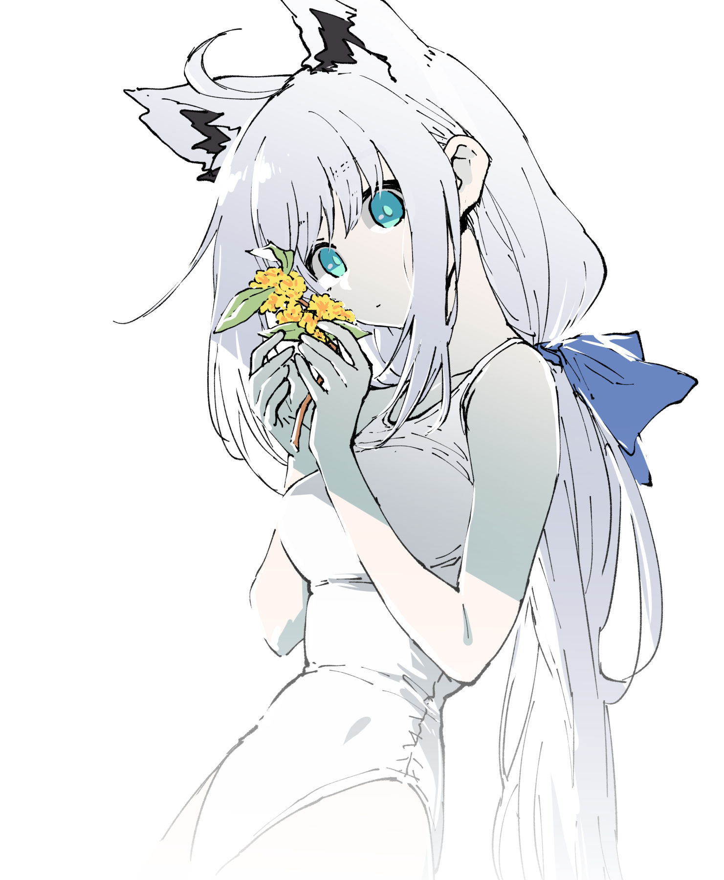 白黒没插画图片壁纸