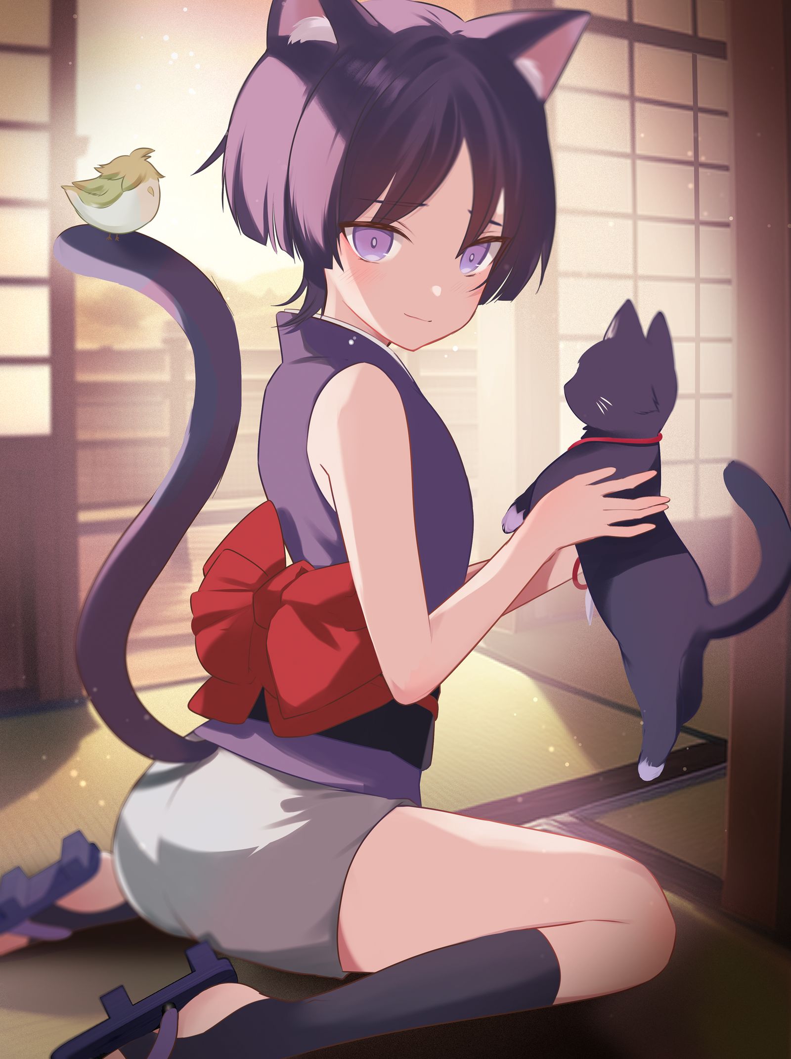 猫马修