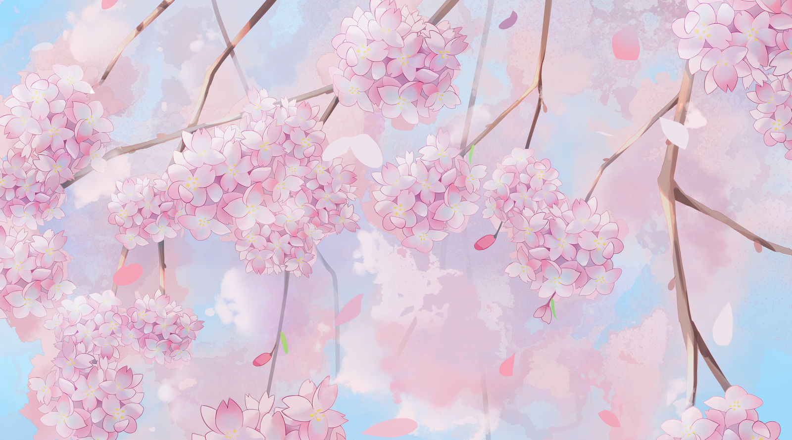 樱花-樱花原创