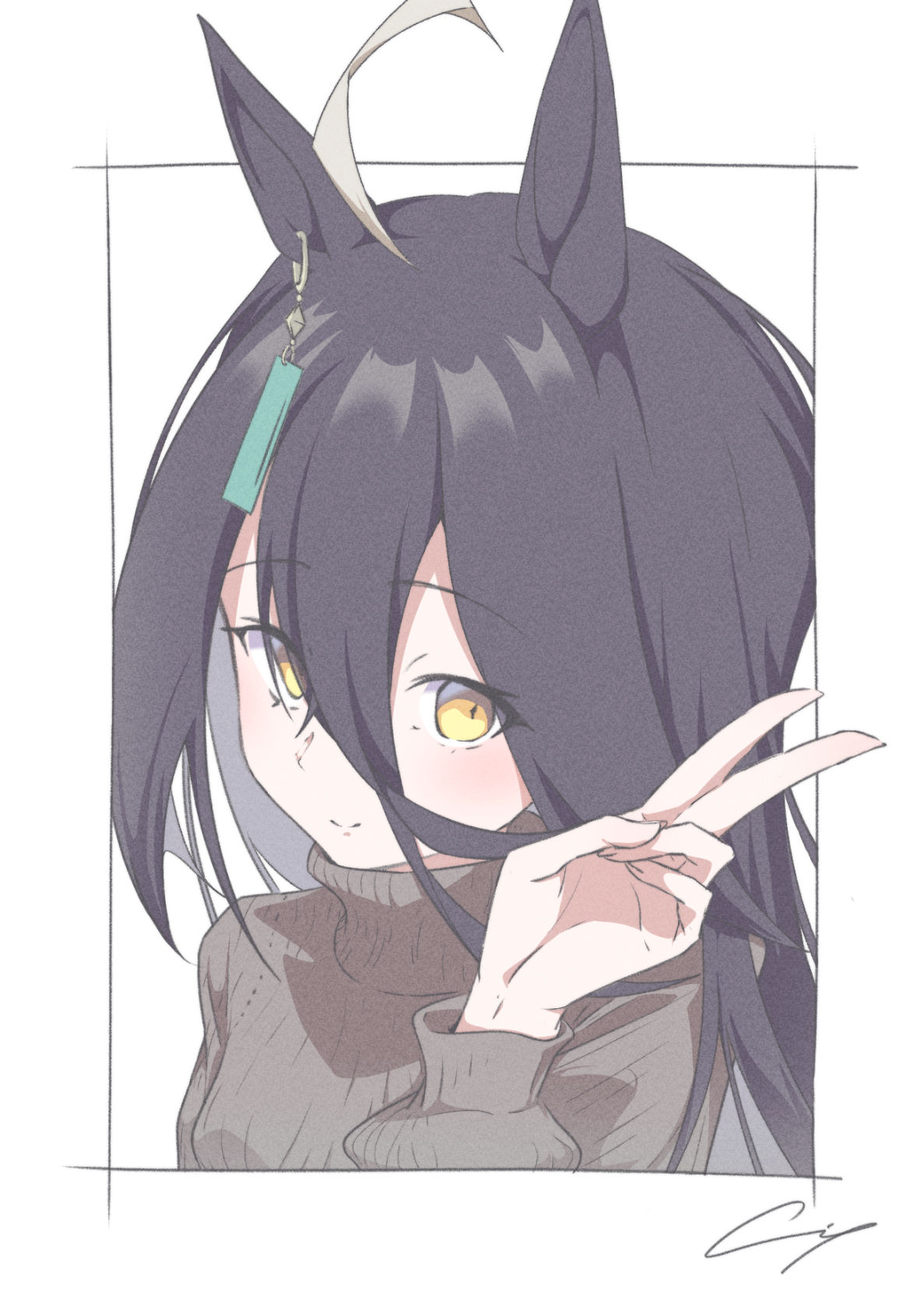 毛皮插画图片壁纸