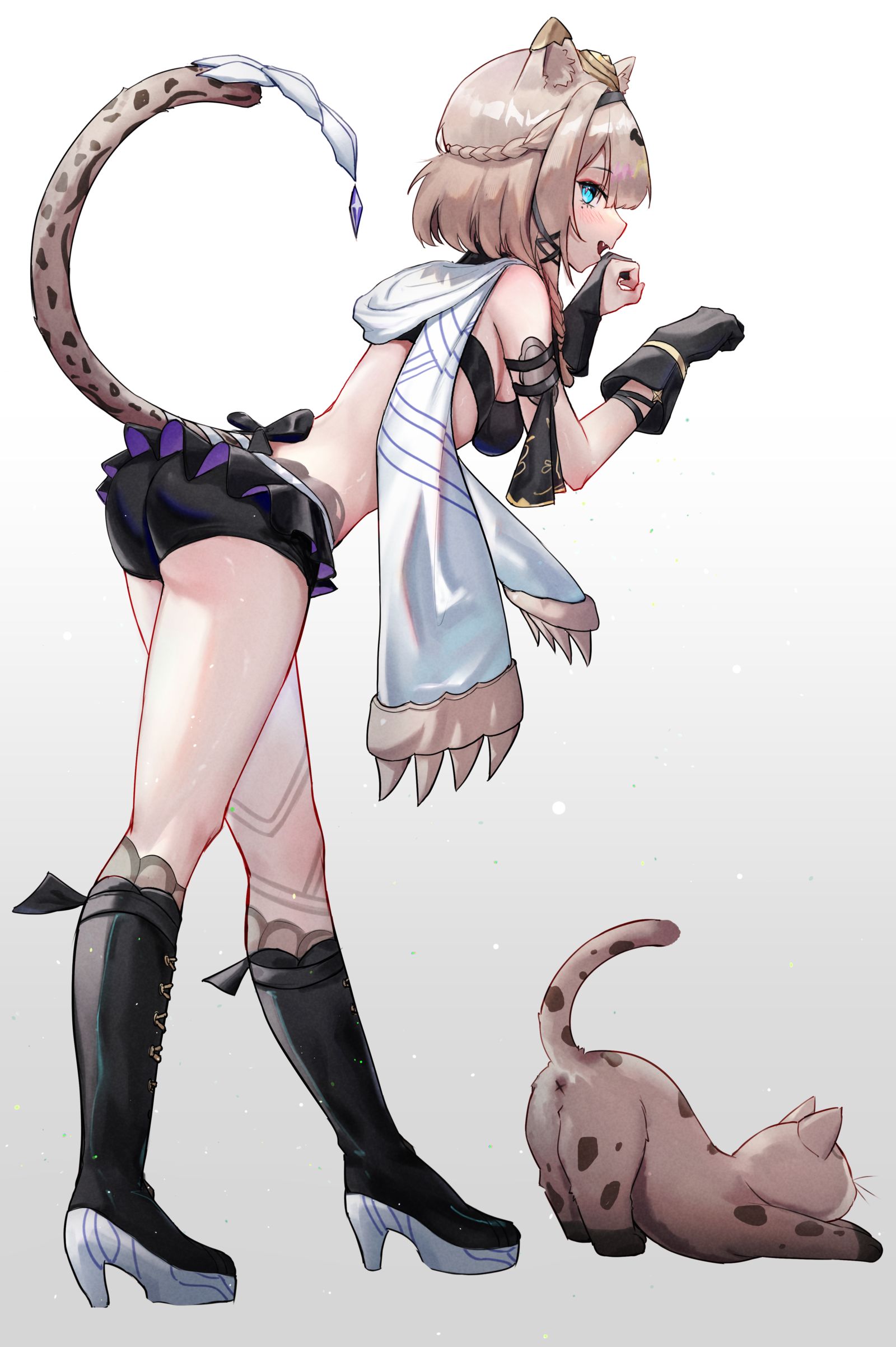 貓貓插画图片壁纸