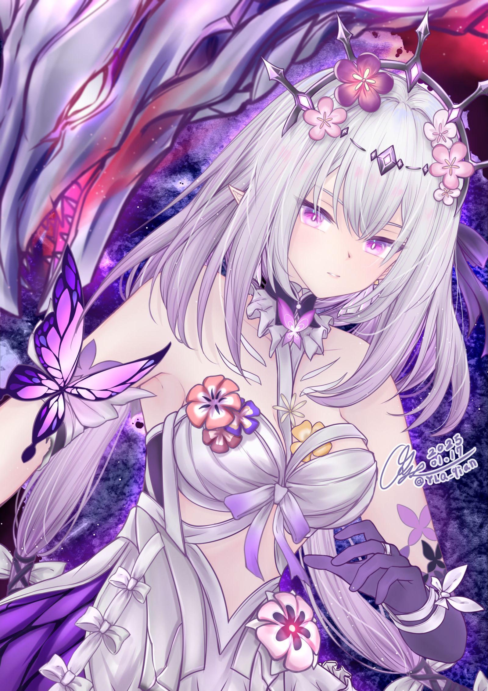 蝴蝶凯斯特里斯插画图片壁纸