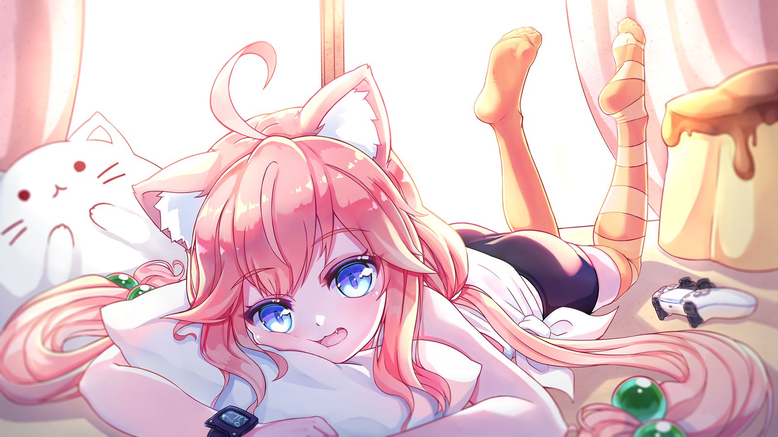 猫宫趴在地上