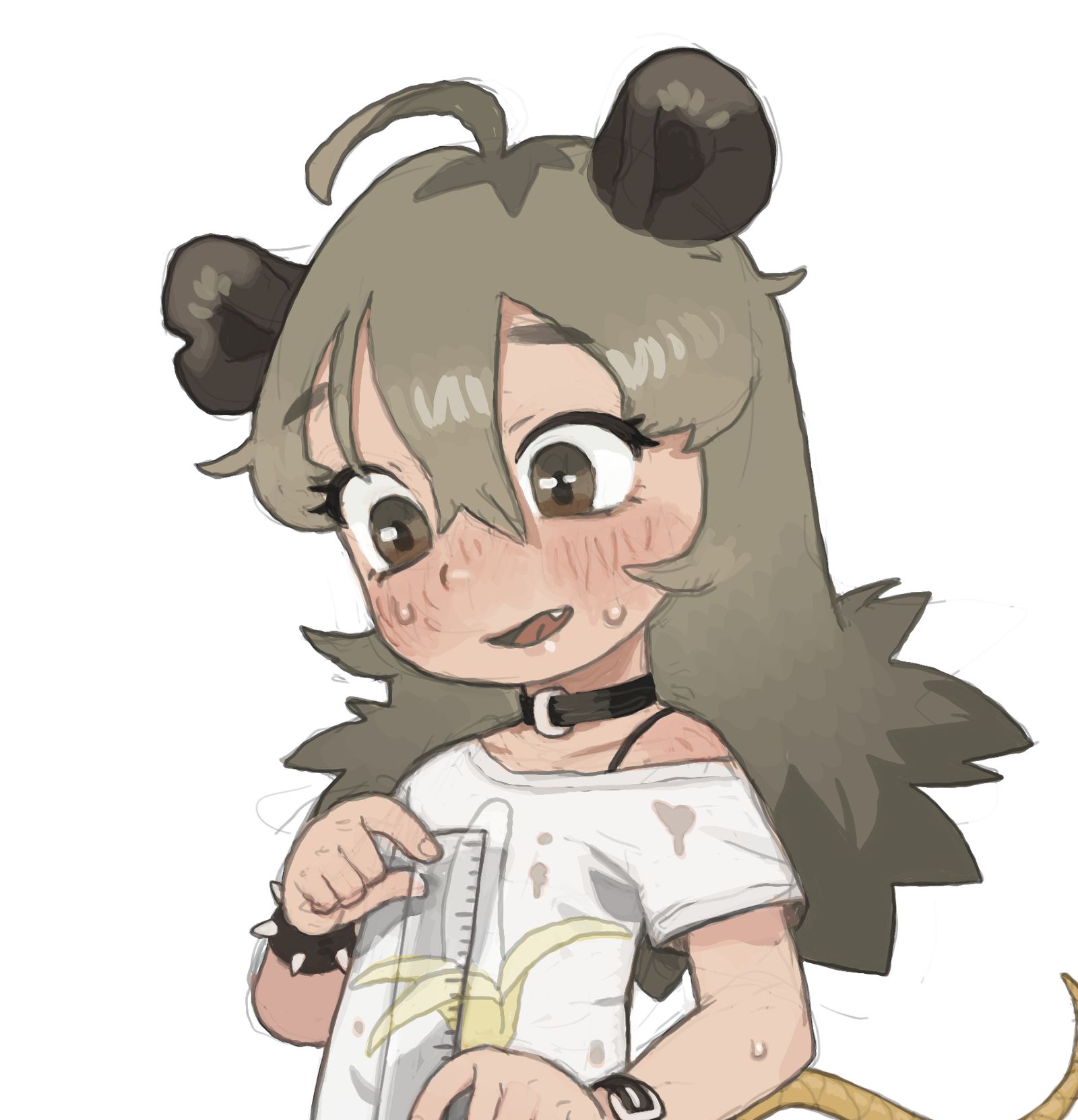 Macci measure the size  插画图片壁纸