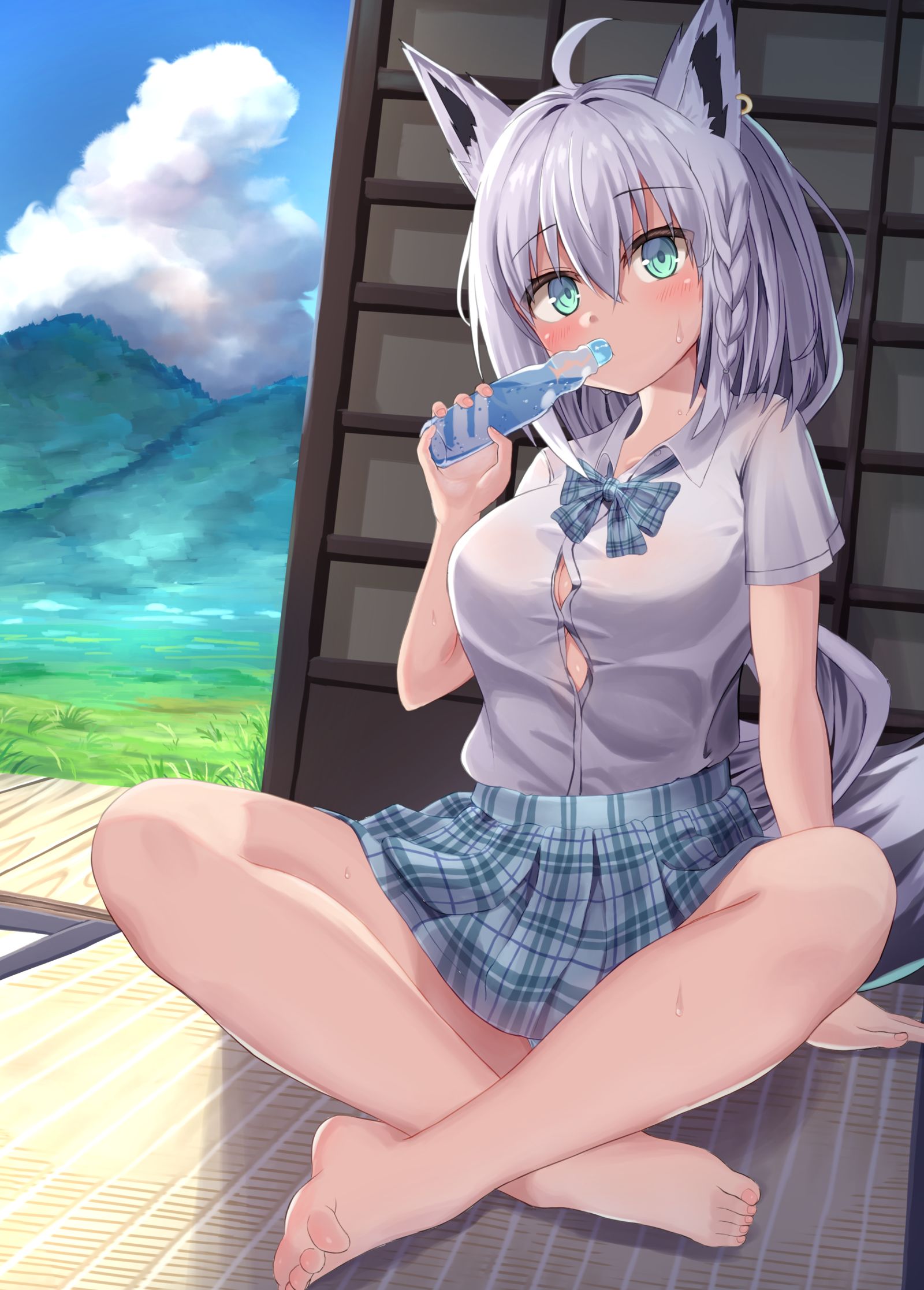 夏天的鱼翅-hololiveVTuber