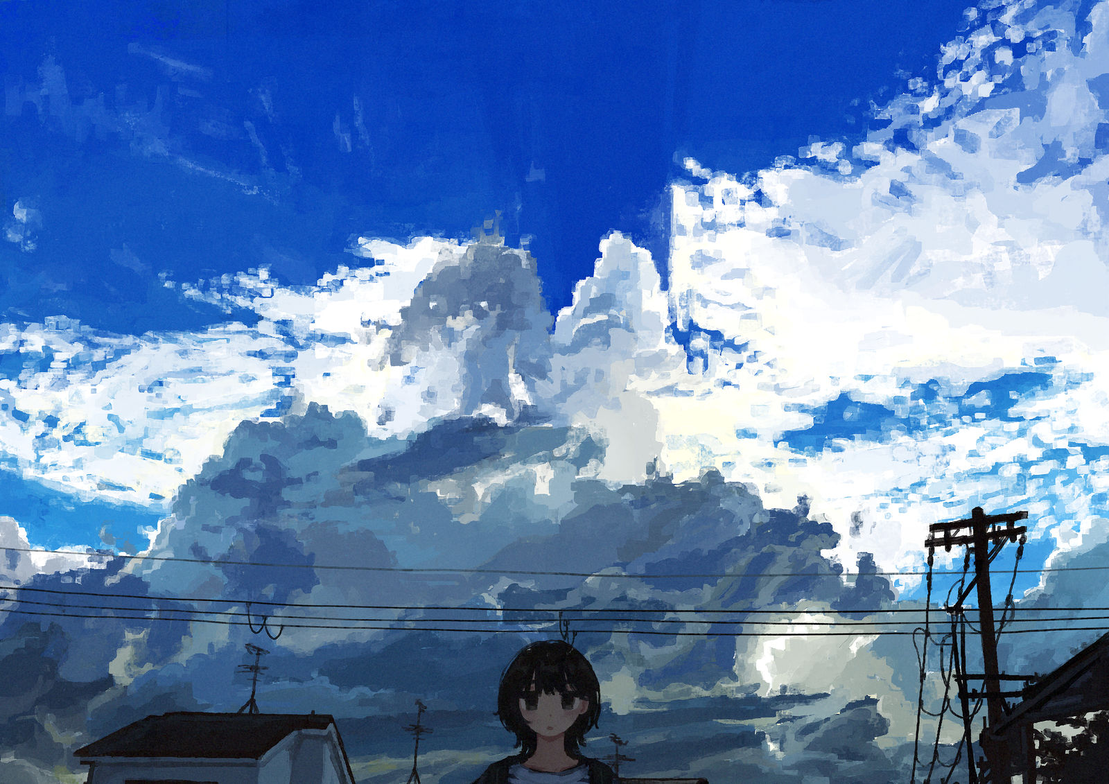 天空、电线和我