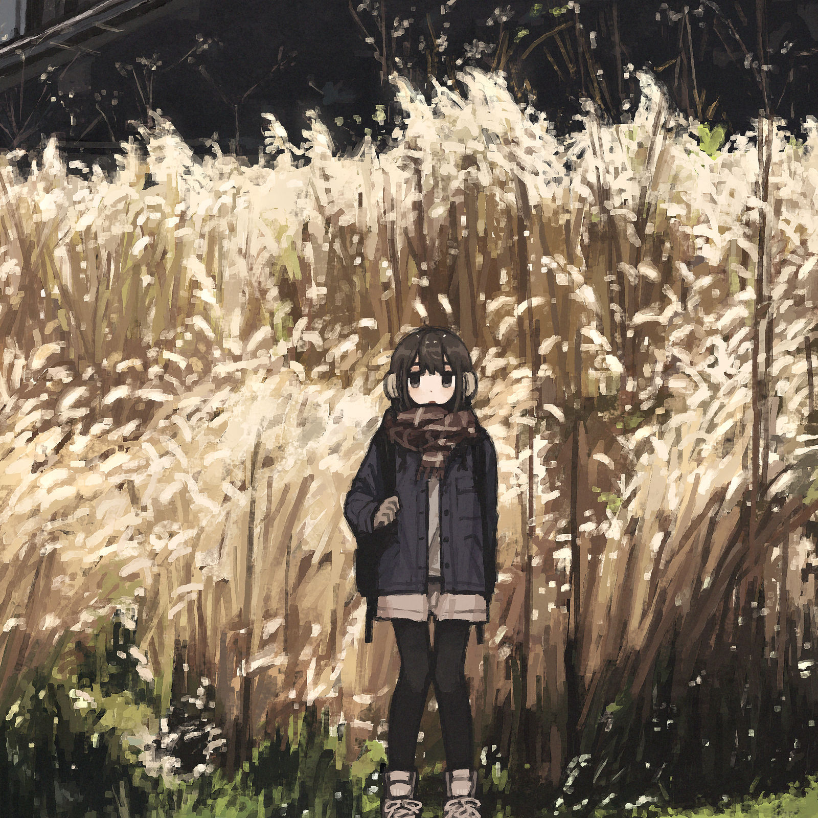 即使冷也没关系