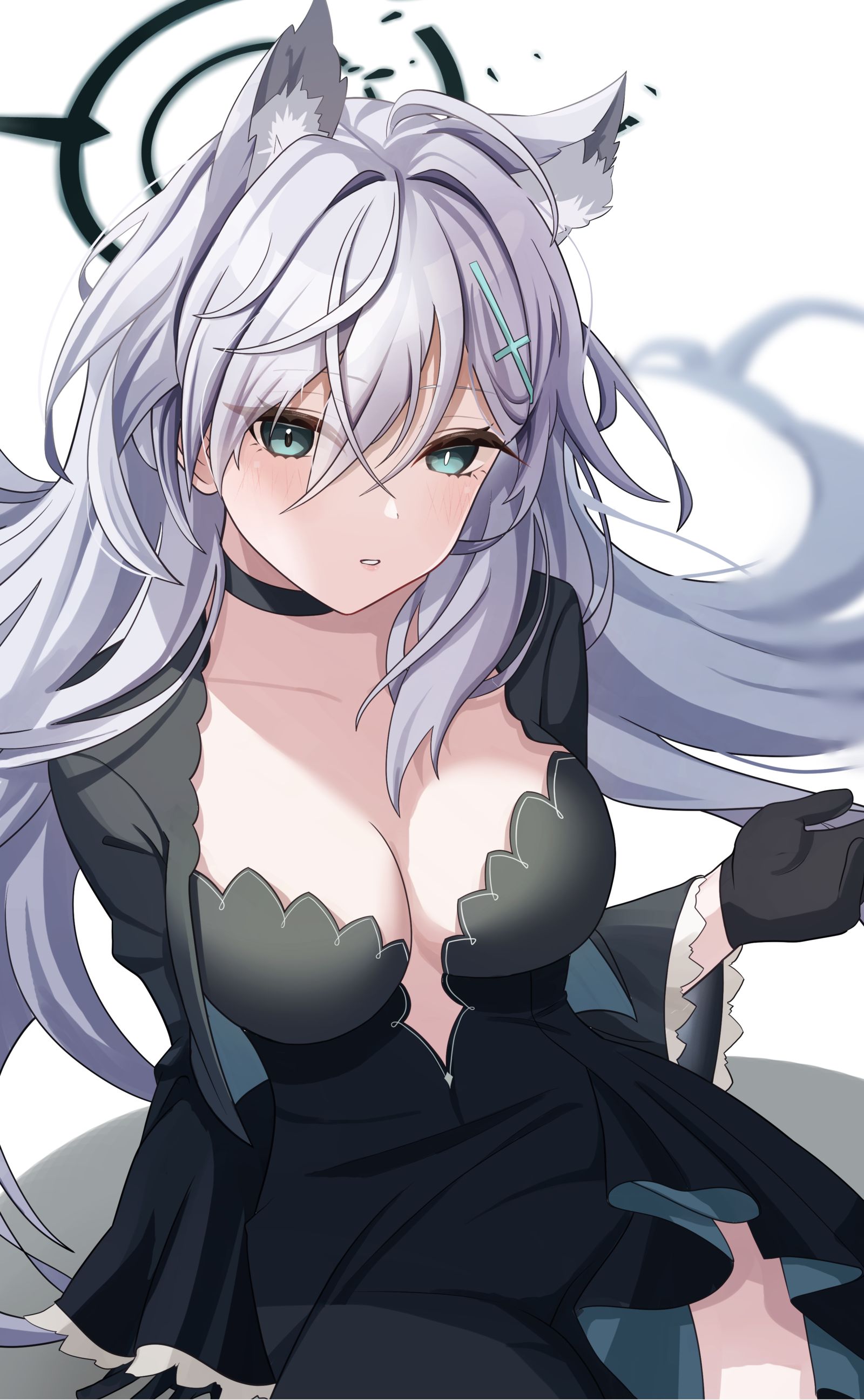 西洛科*泰勒插画图片壁纸