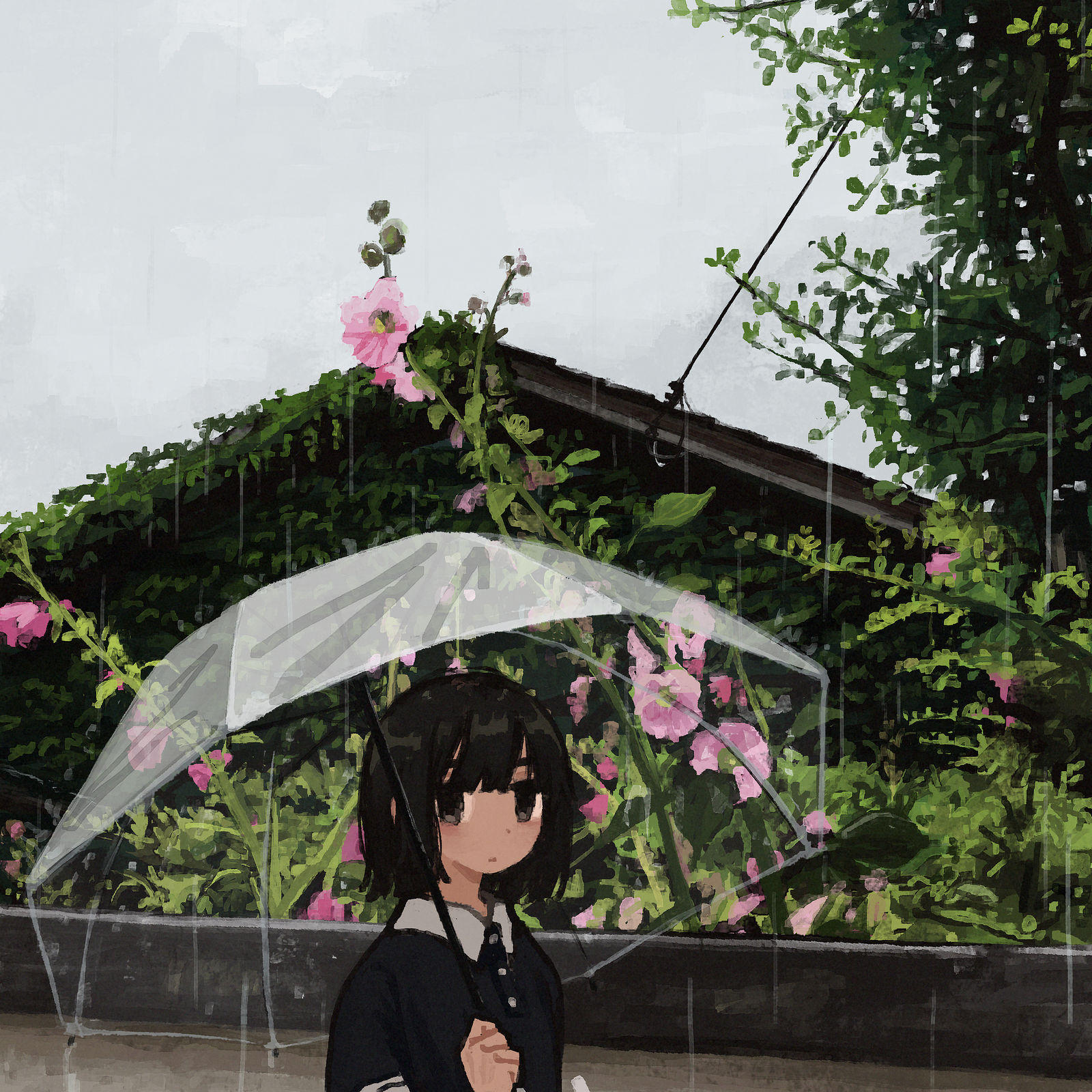 油绿插画图片壁纸