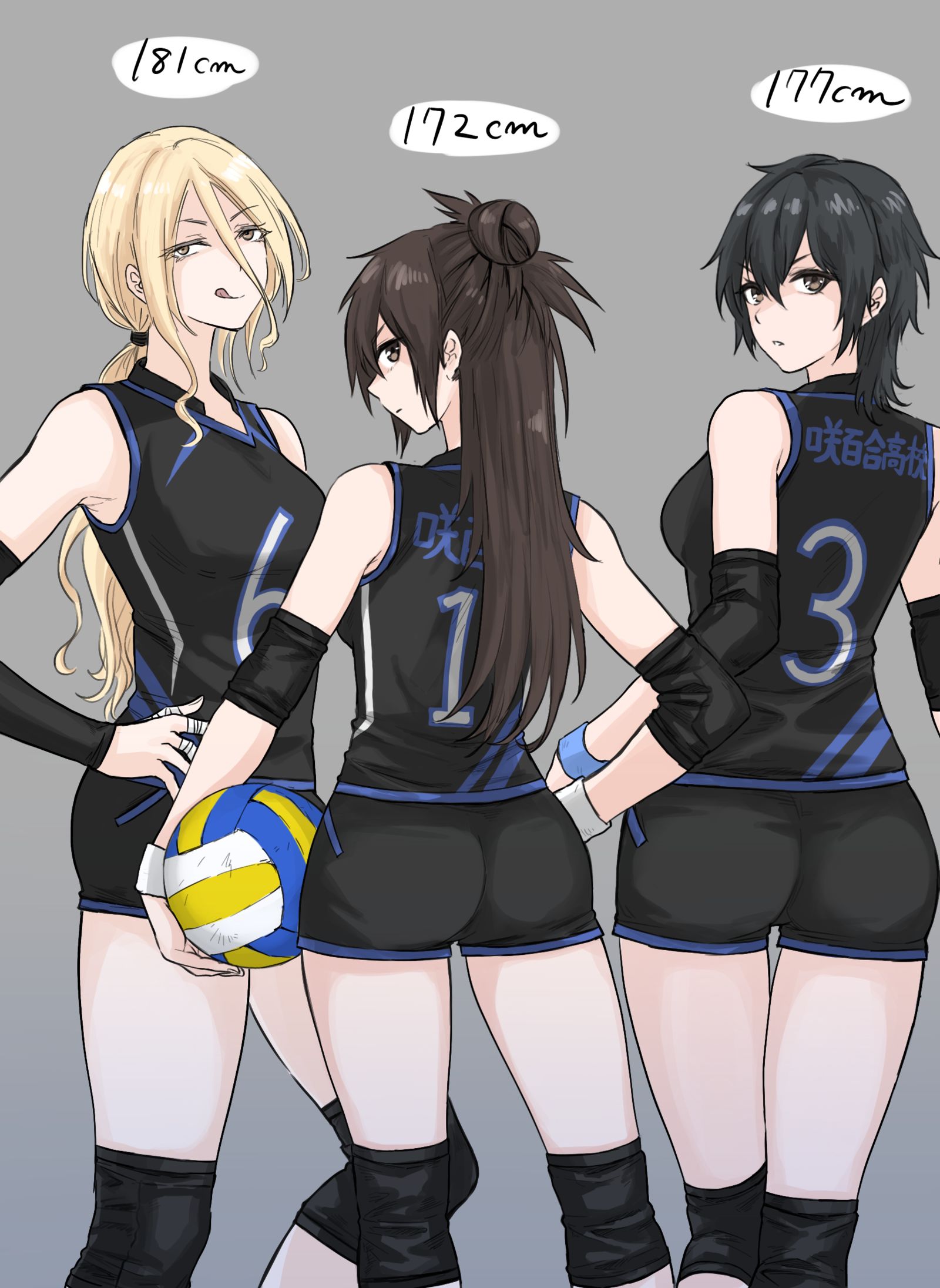 排球女子3年级插画图片壁纸