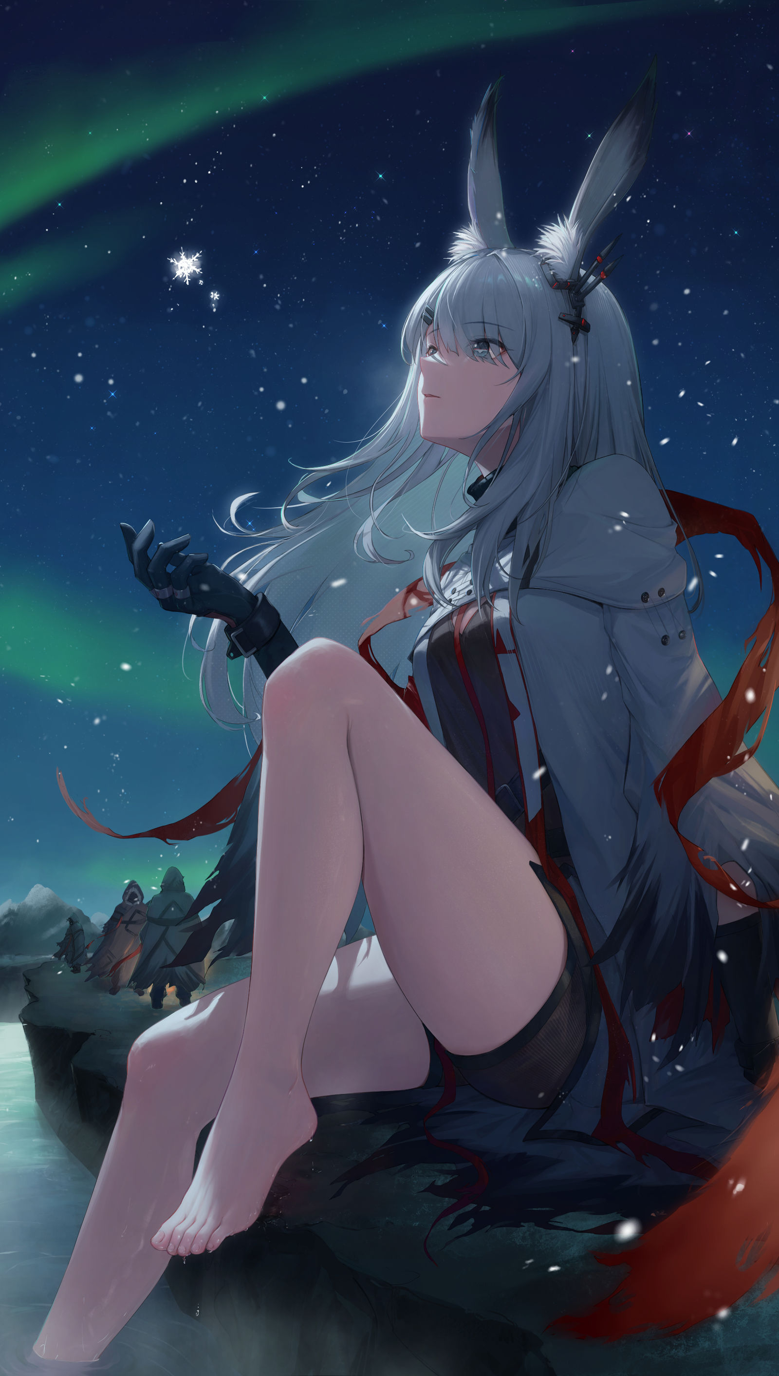 霜星插画图片壁纸