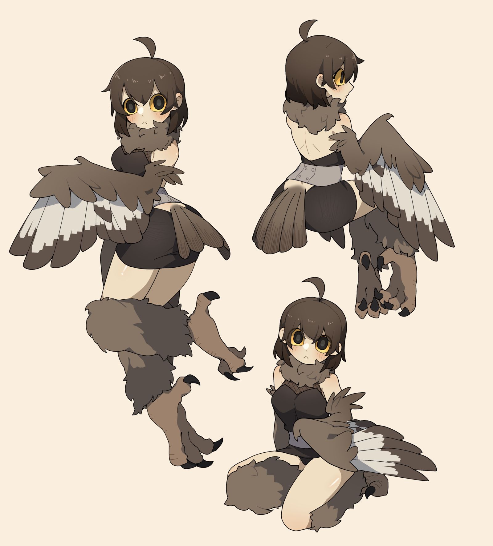 Owl girl-魔物娘人外