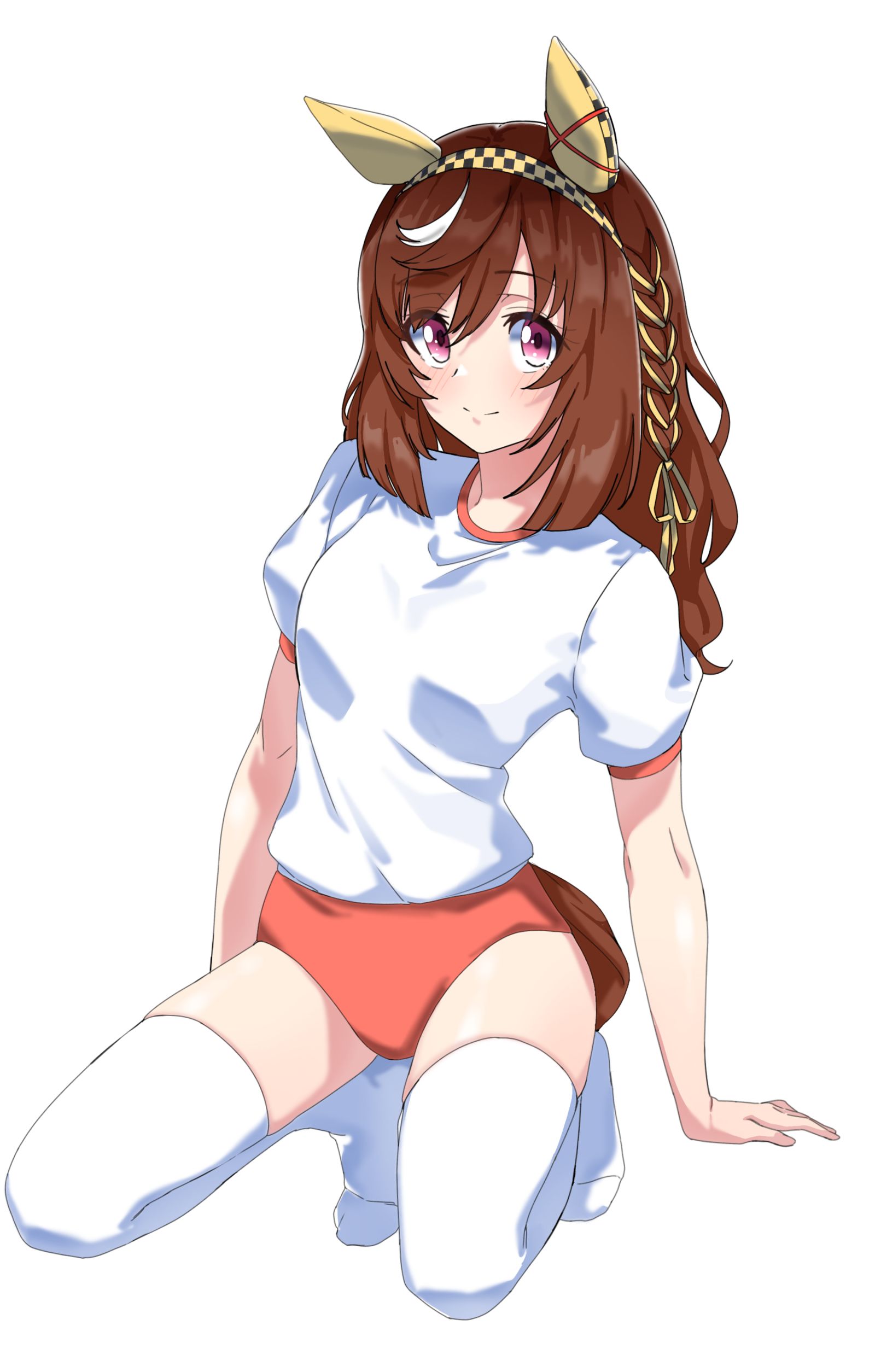 布埃纳维斯塔先生的布鲁马插画图片壁纸