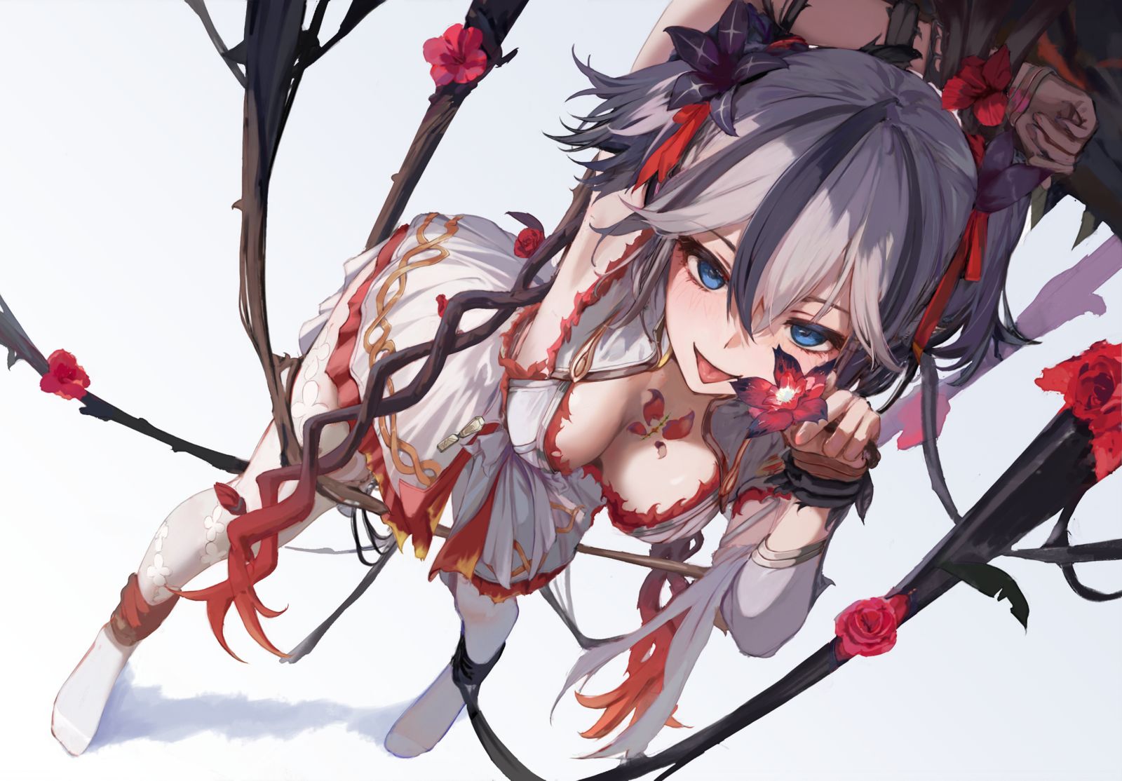 椿插画图片壁纸