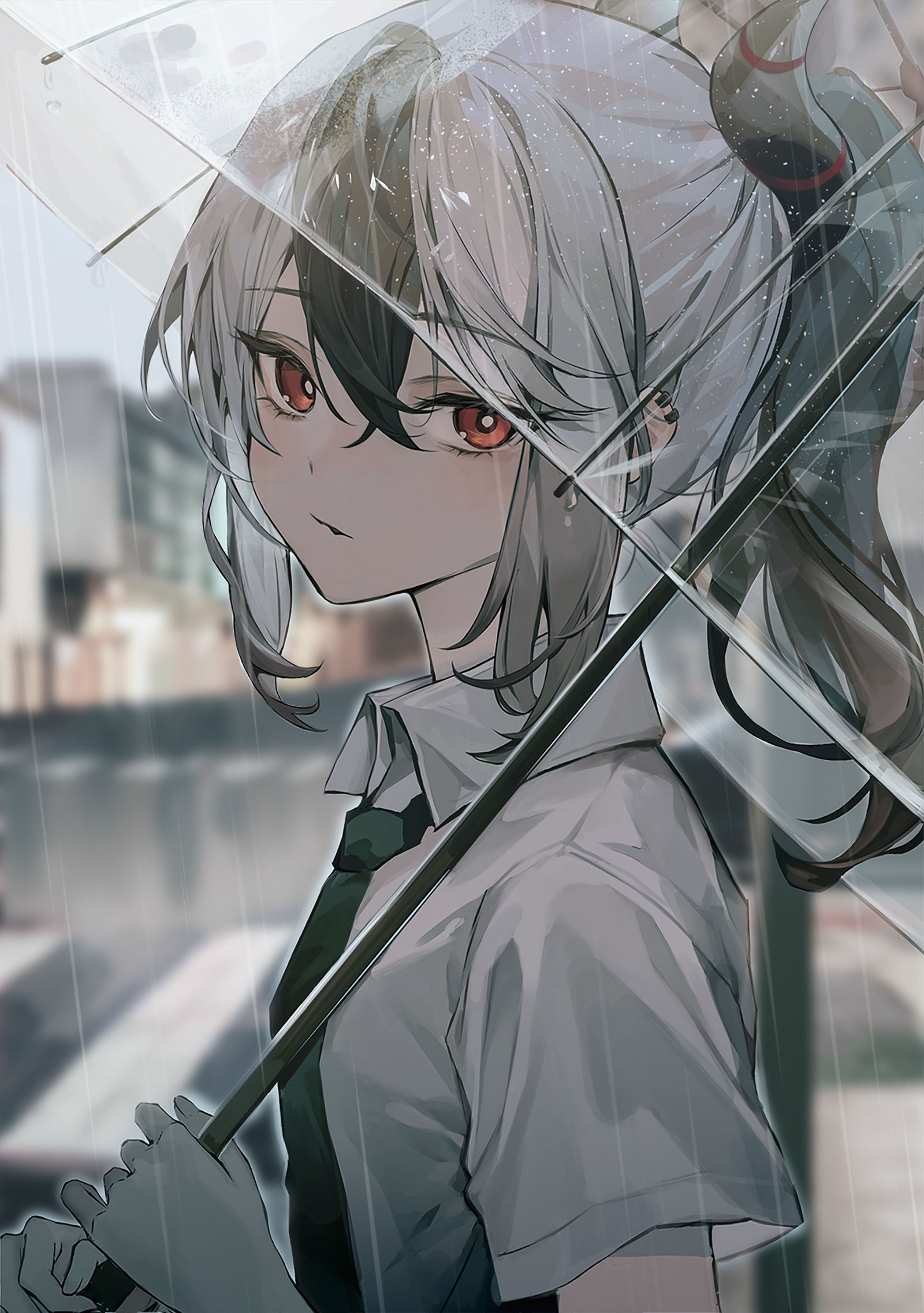 火鸡插画图片壁纸