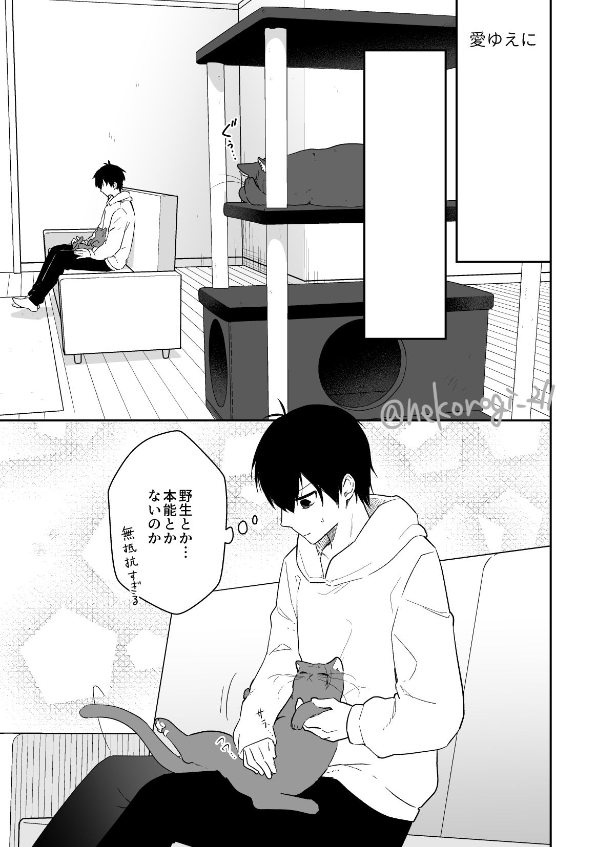 isg先生家的se猫插画图片壁纸