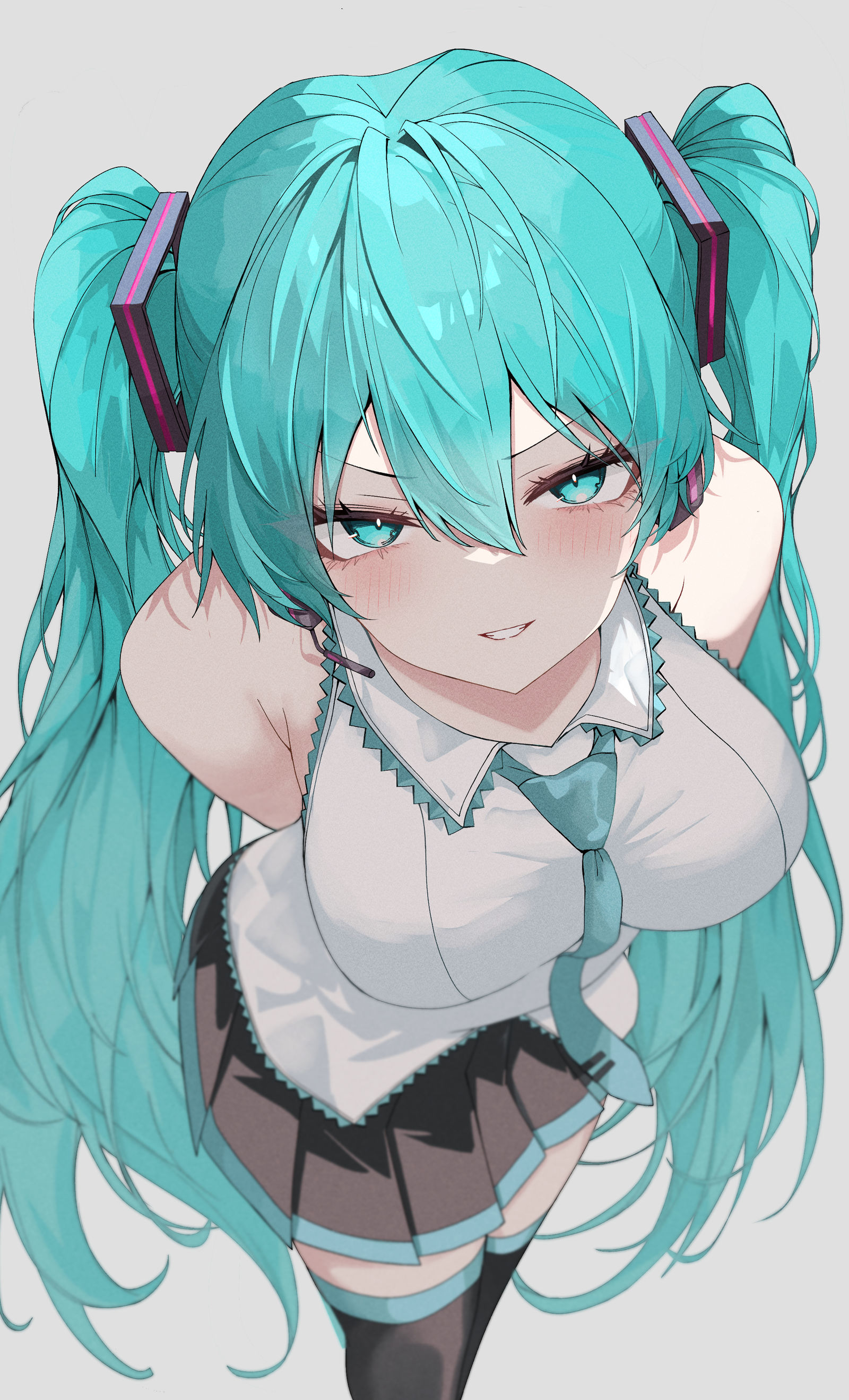 窥视的初音未来先生