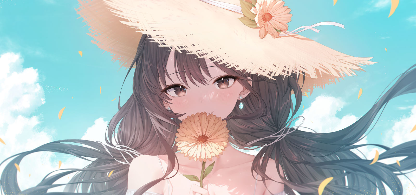 金盏花插画图片壁纸
