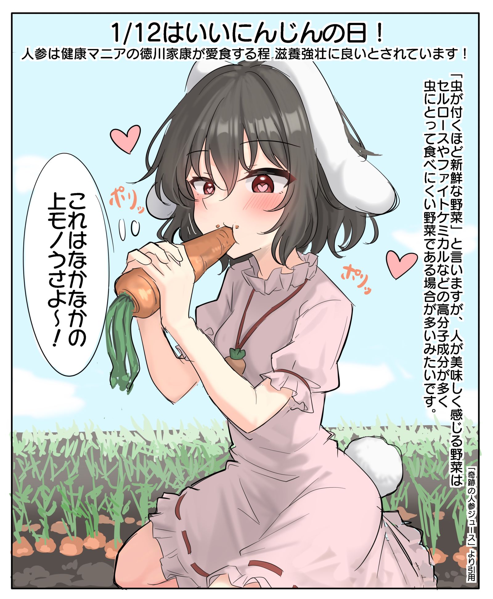 1/12是好胡萝卜的日子！插画图片壁纸