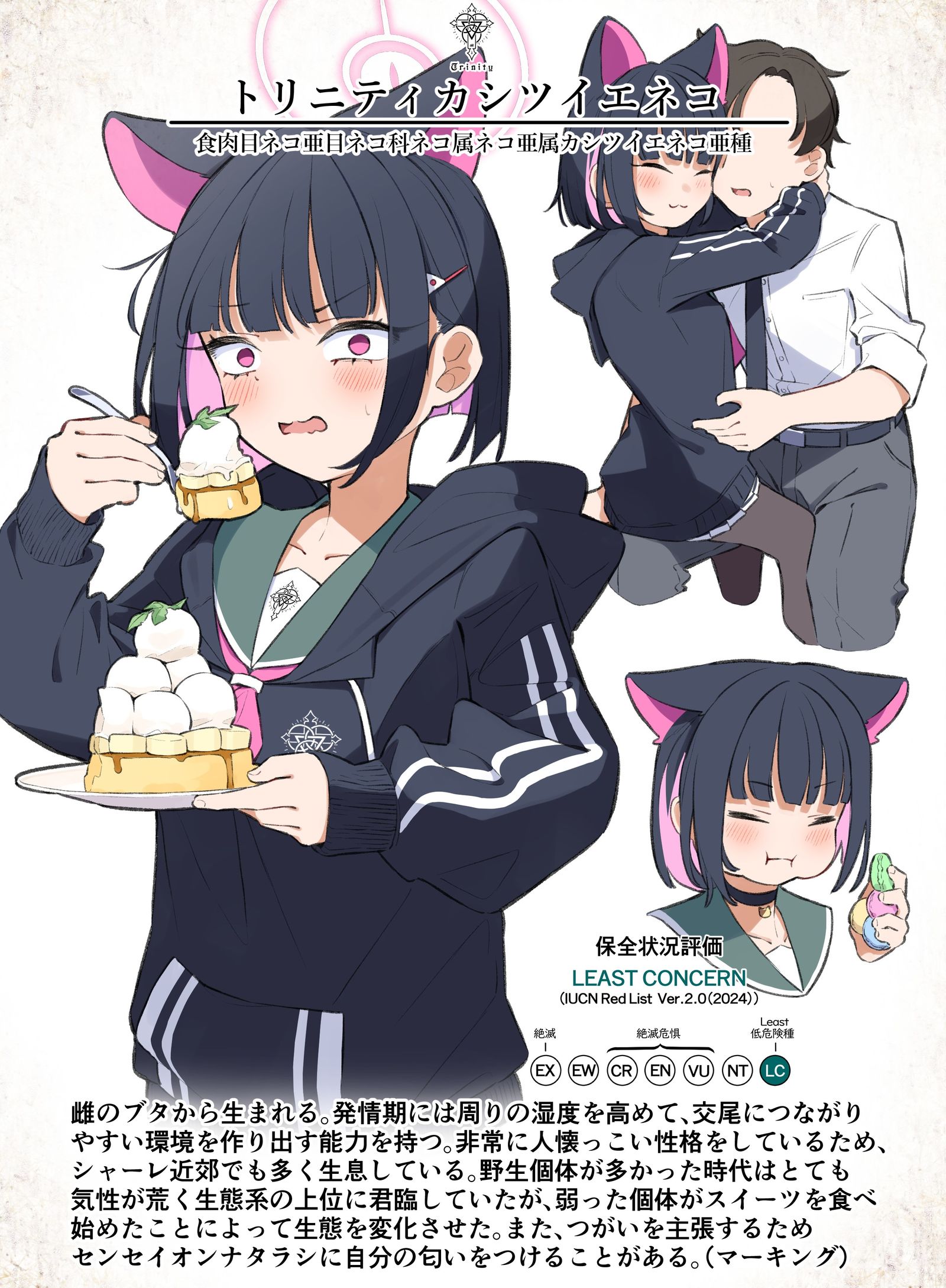 特立尼蒂卡西欧猫的调查结果插画图片壁纸