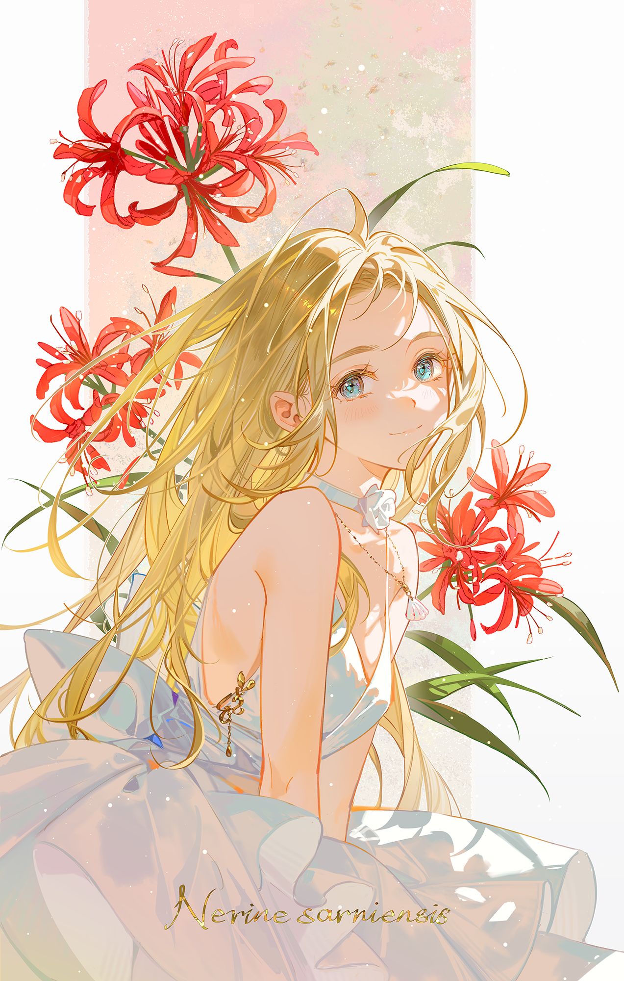 花語插画图片壁纸