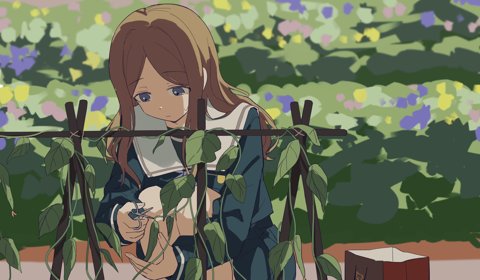 -むつそよ長崎そよ