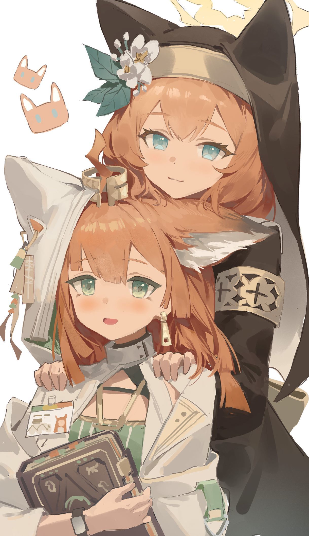 橘猫