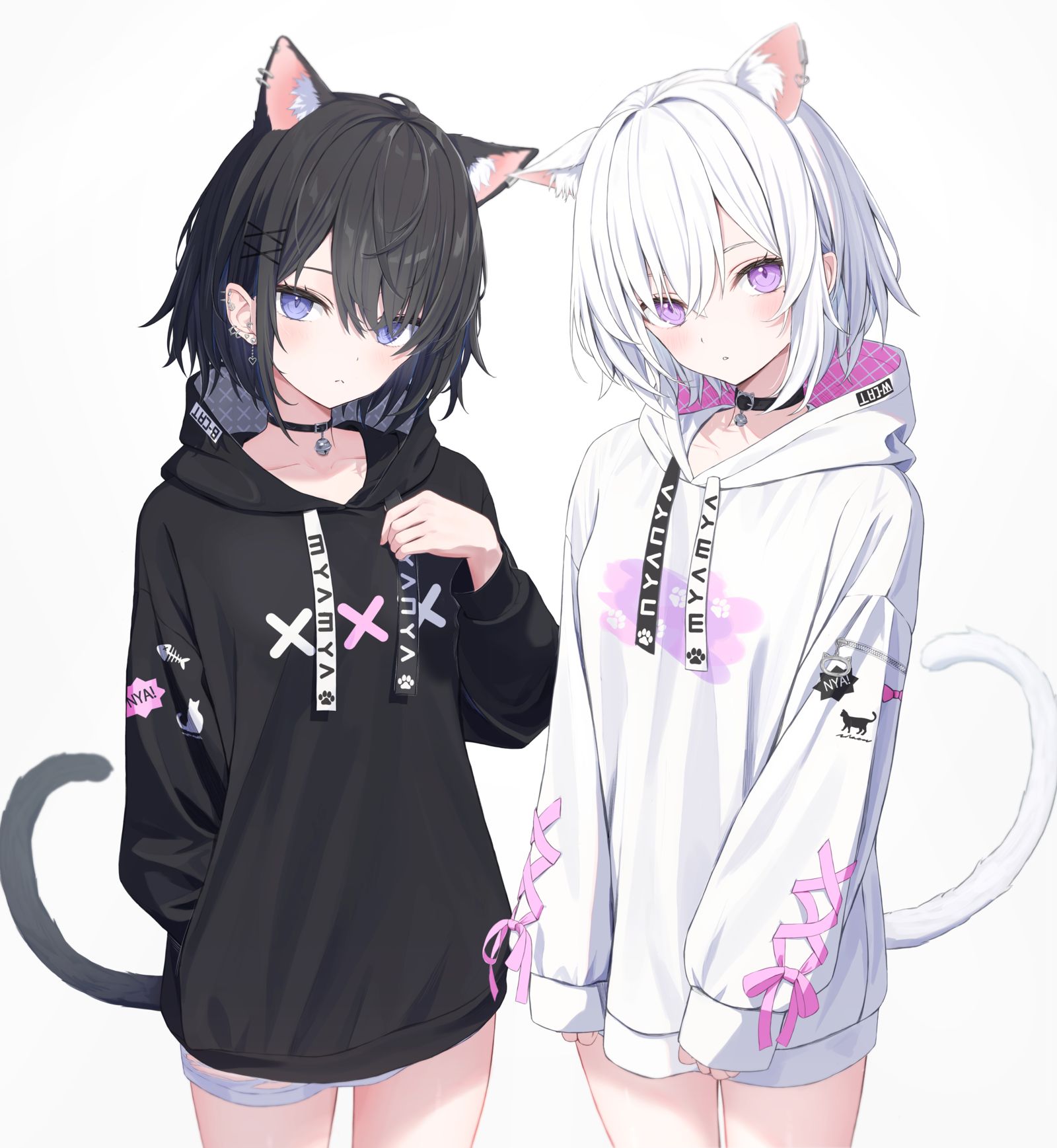 双胞胎小猫
