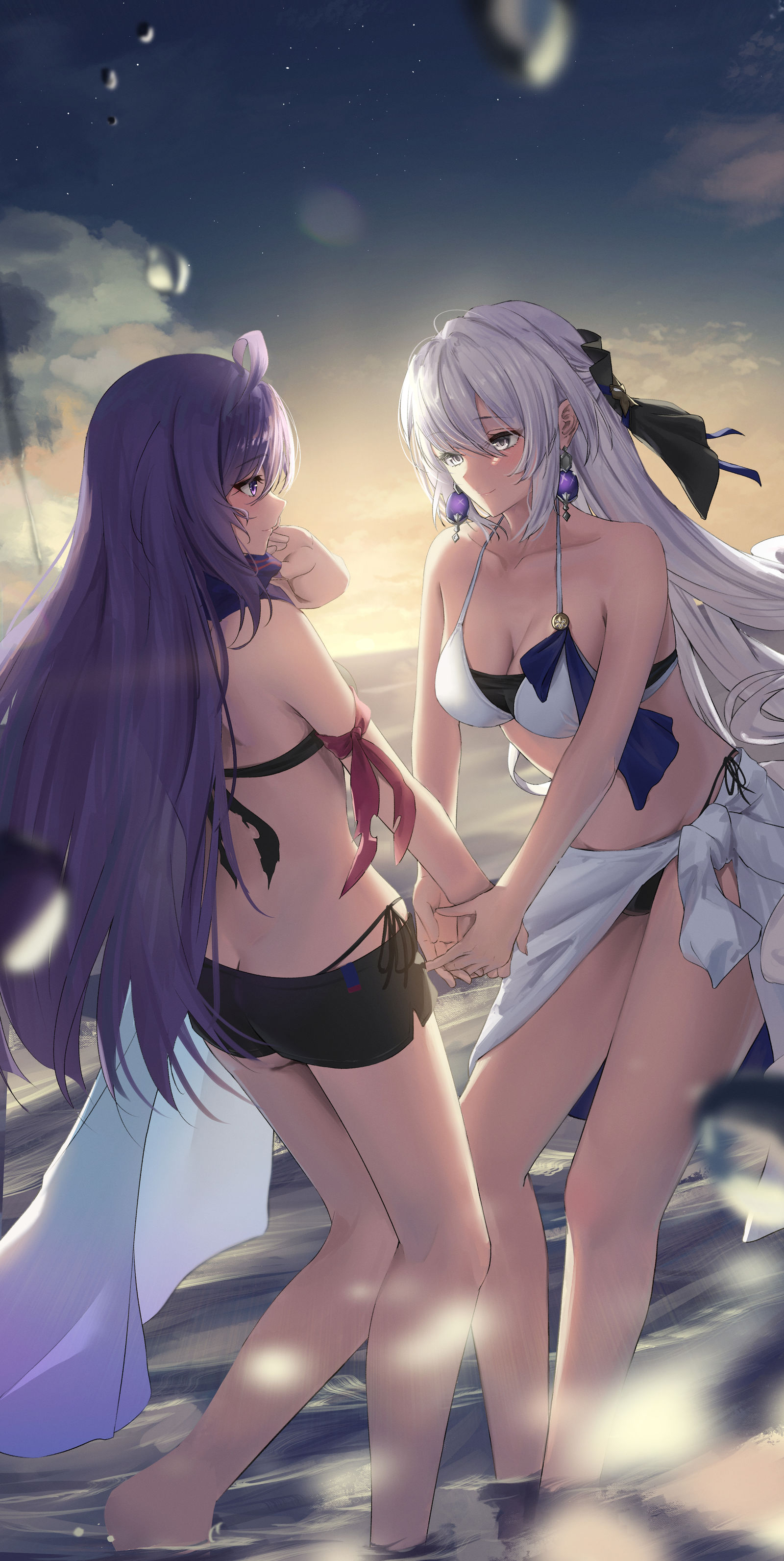 泽雷&布洛尼亚插画图片壁纸