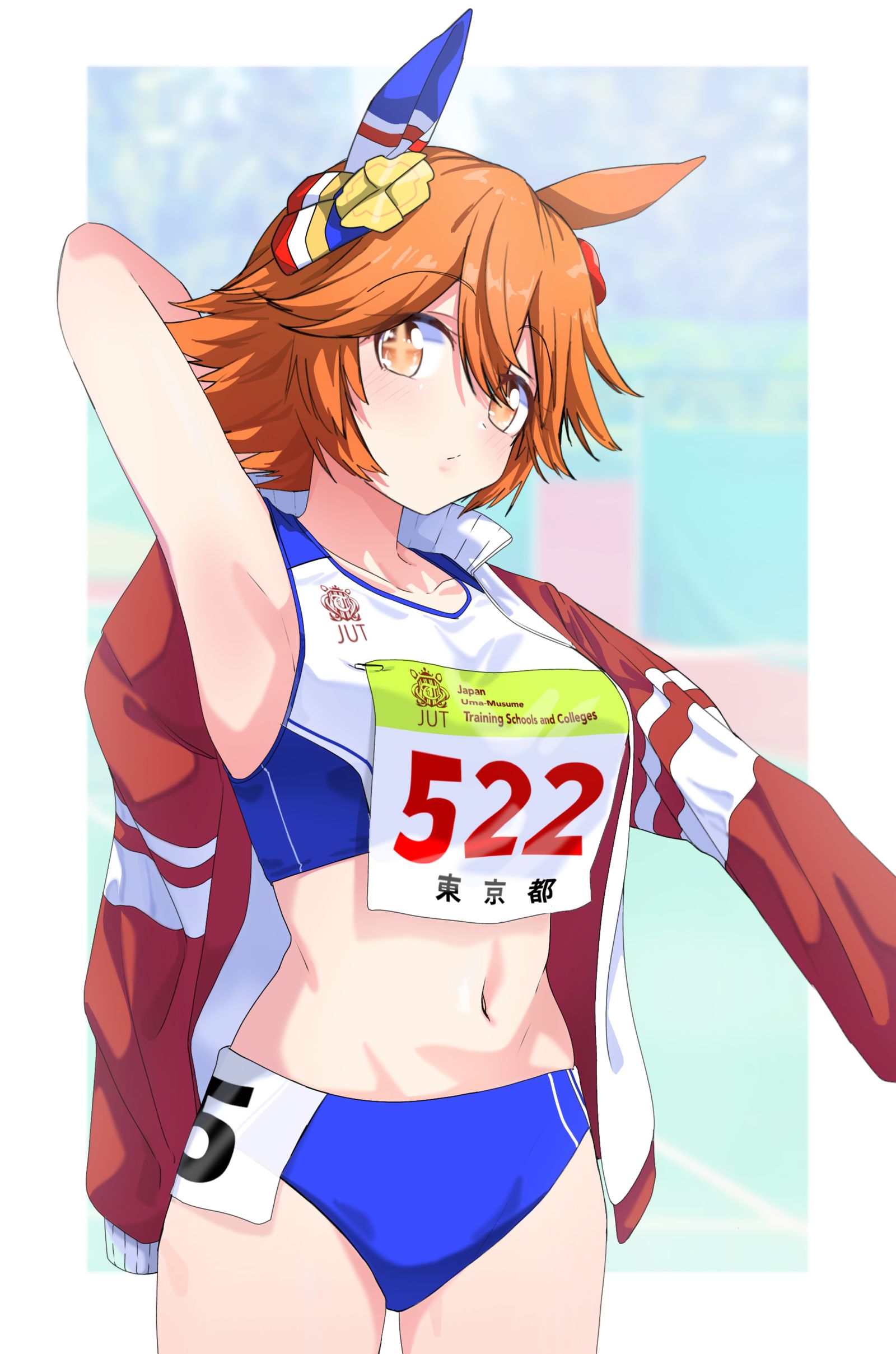 分离猫头鹰插画图片壁纸