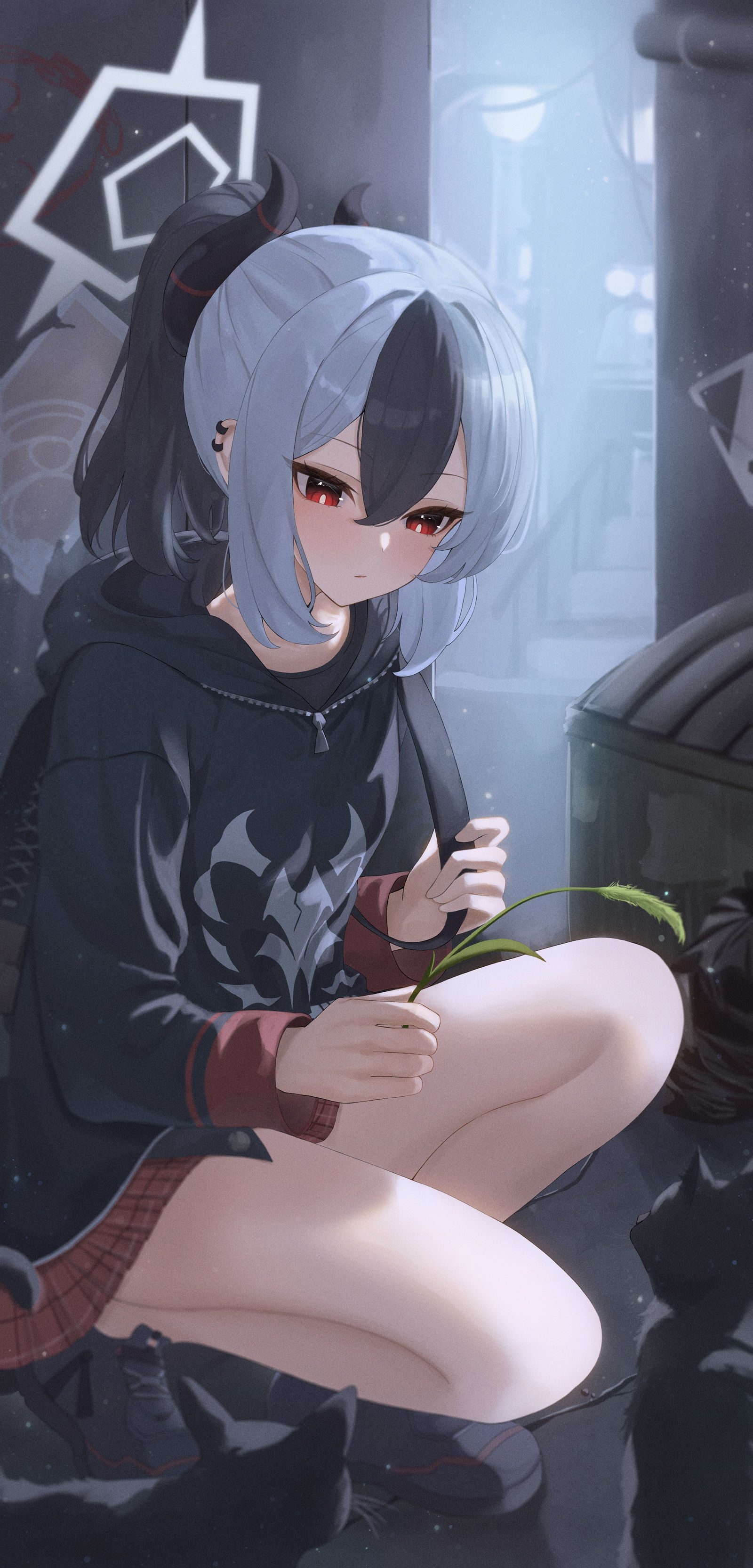 喵喵