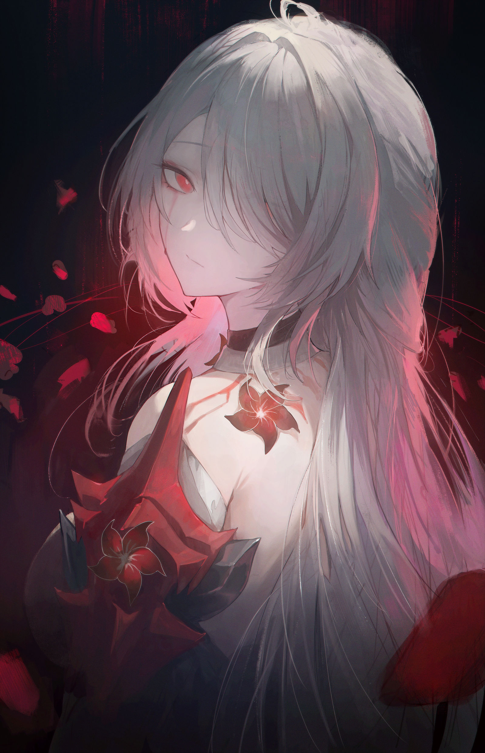 Acheron插画图片壁纸