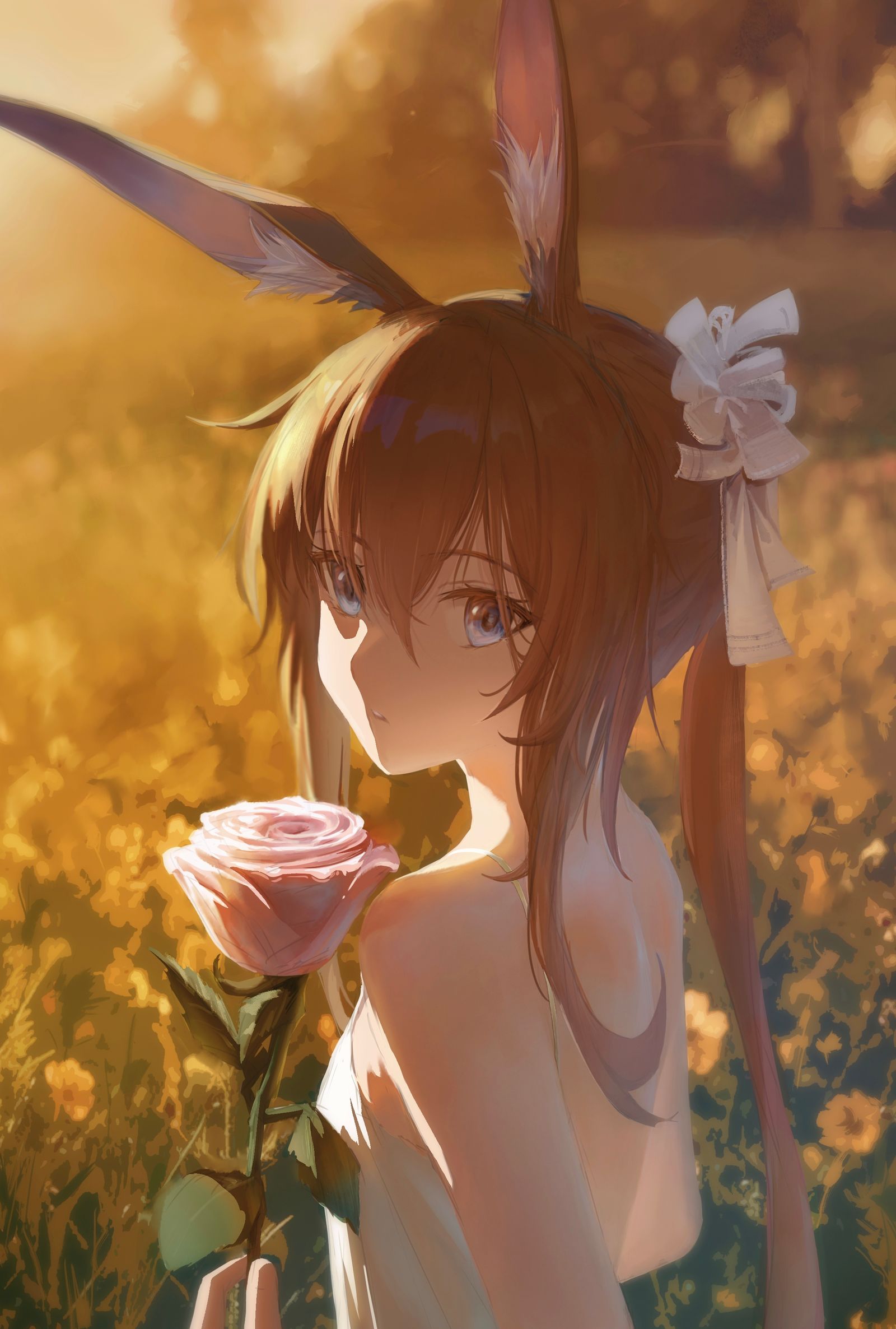 阿米亚插画图片壁纸