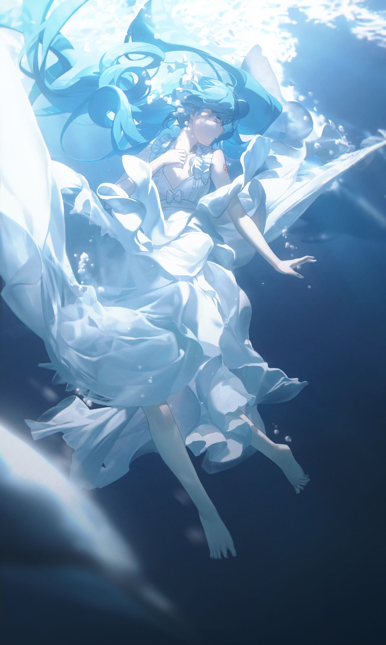海百合海底谭插画图片壁纸