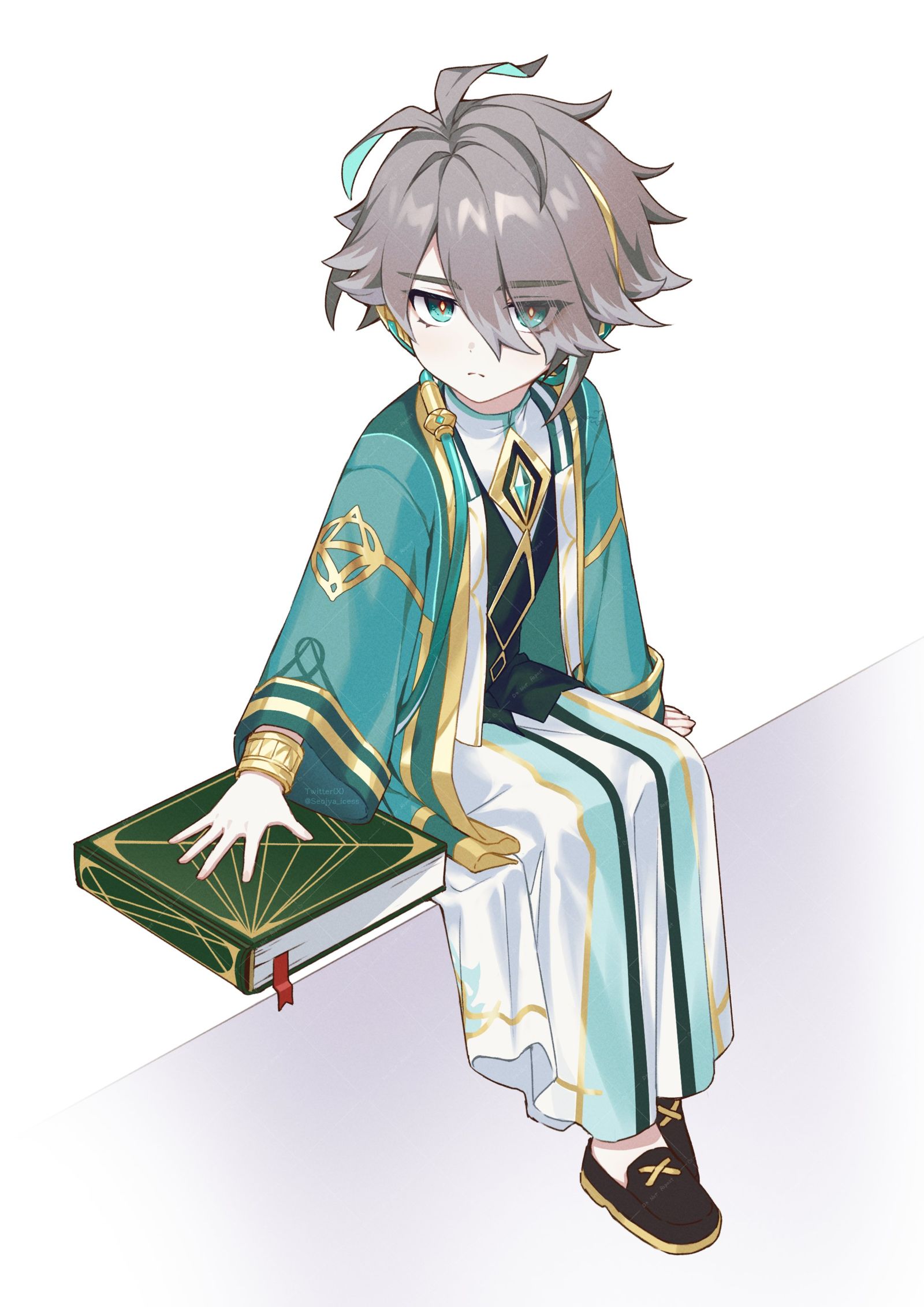 ‍-原神艾尔海森
