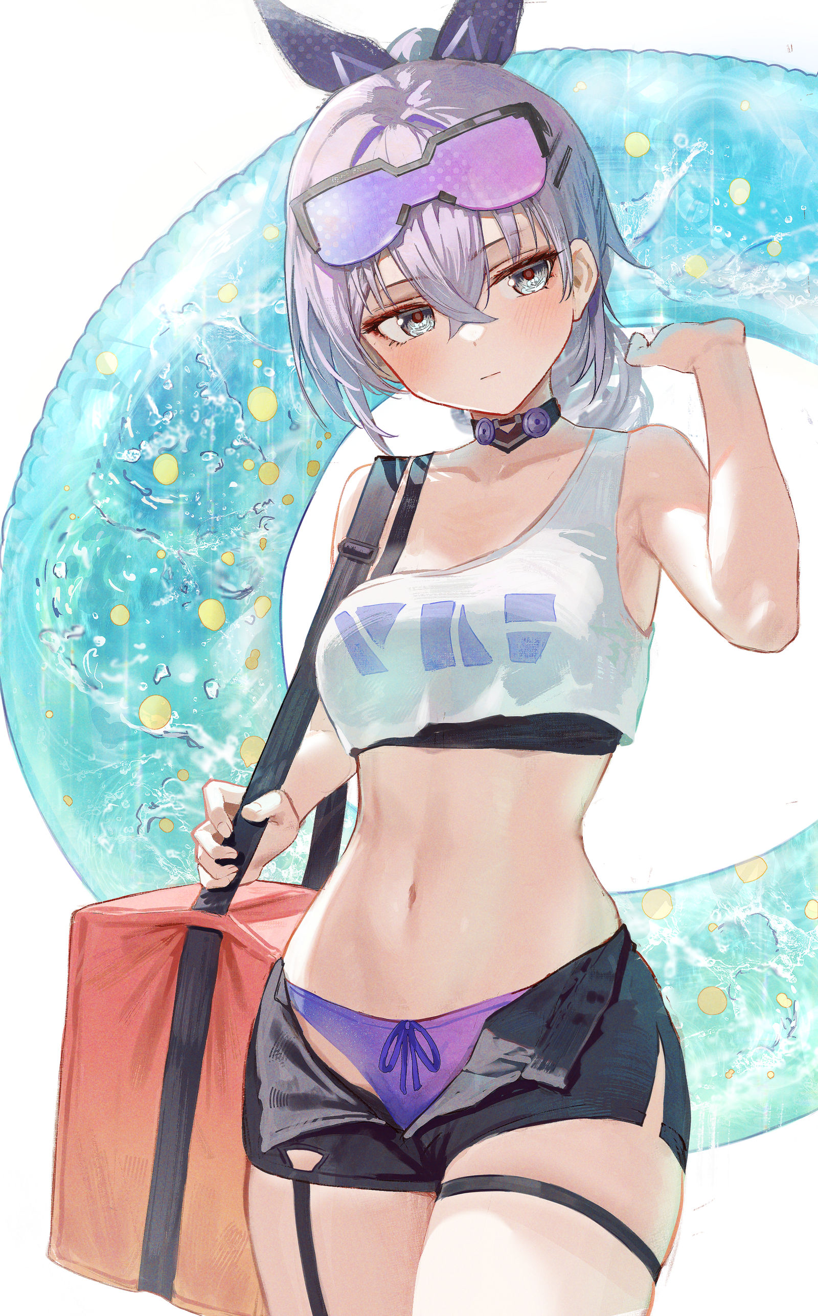 銀狼插画图片壁纸