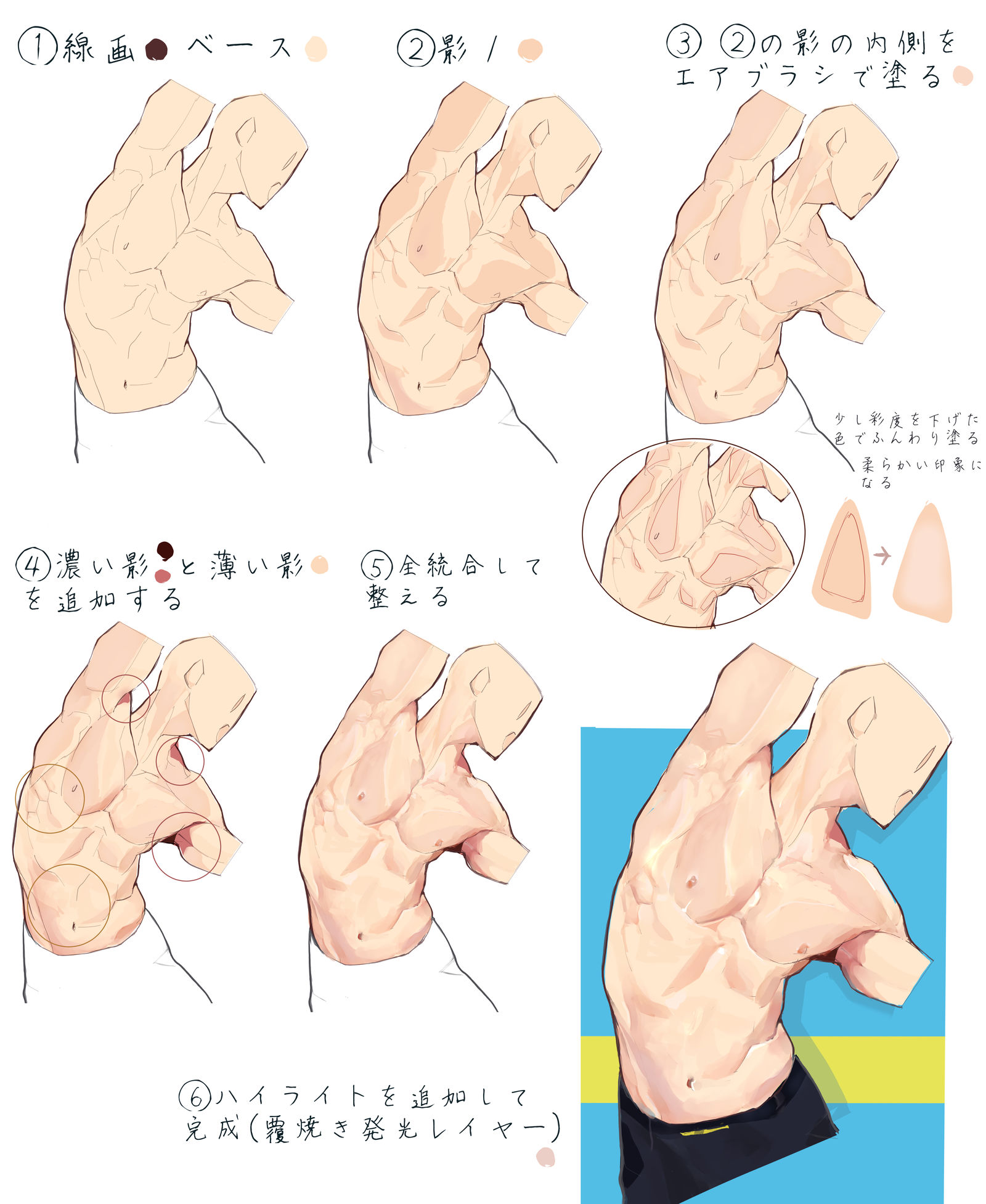 筋肉-肌肉画法