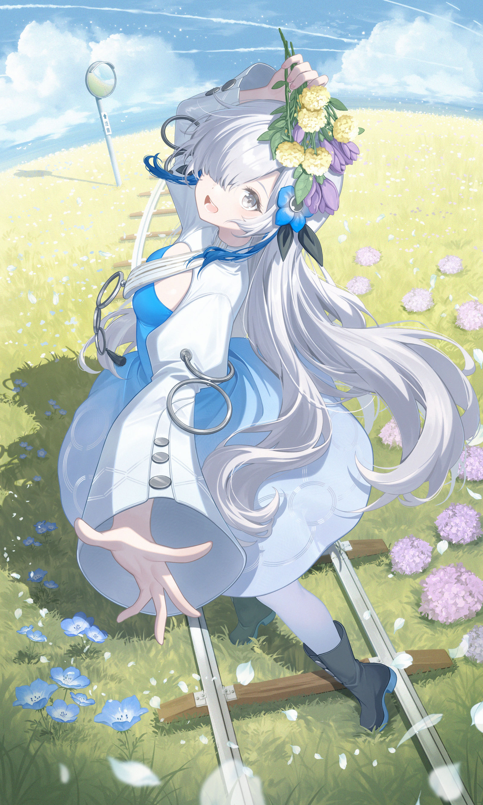 Hydrangea插画图片壁纸