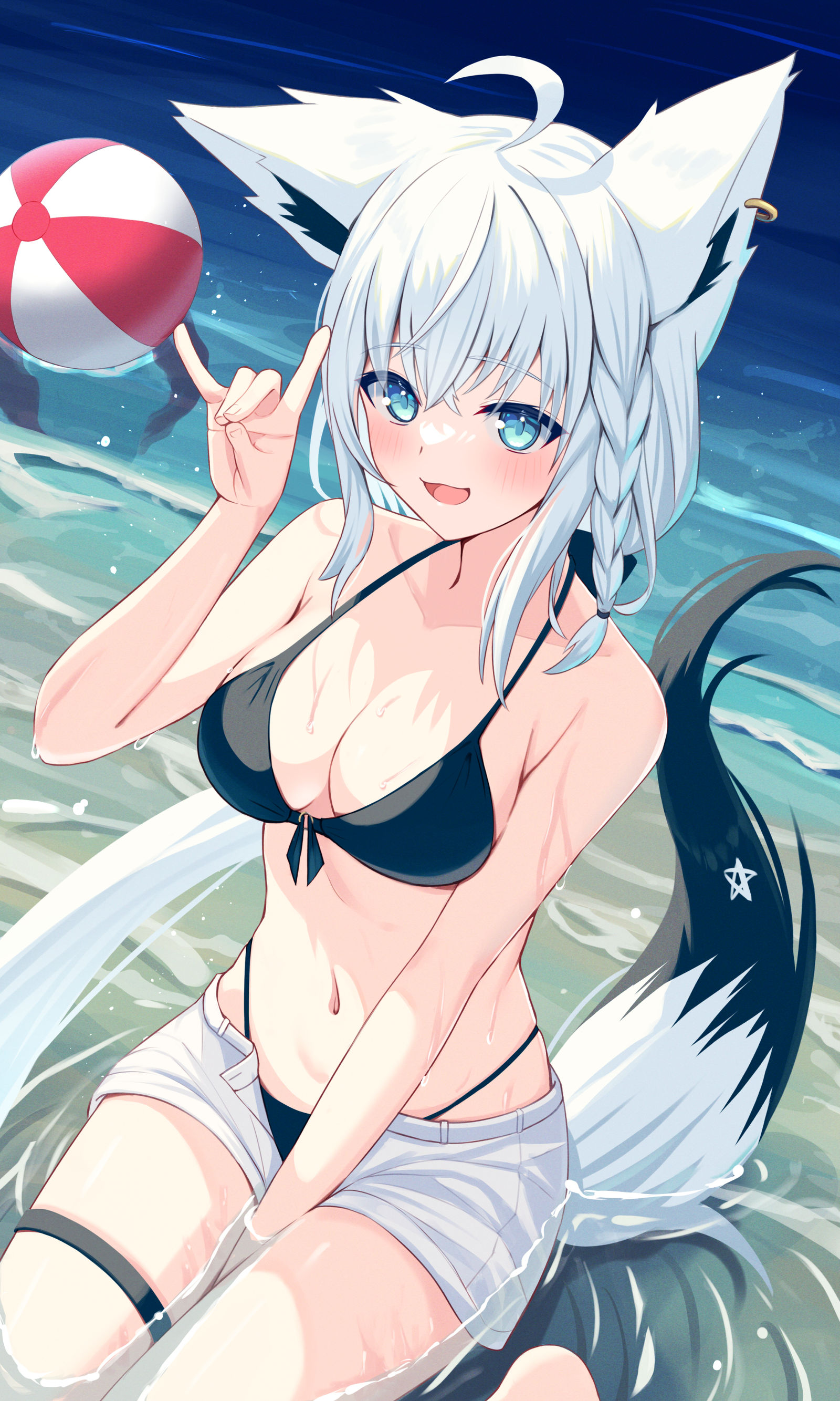 冰镇狐狸怎么样？插画图片壁纸