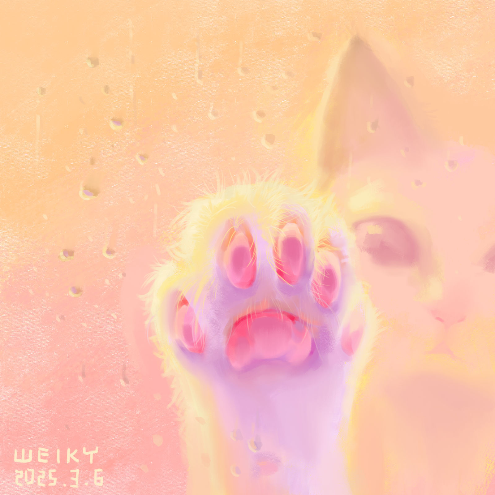 猫猫爪爪插画图片壁纸