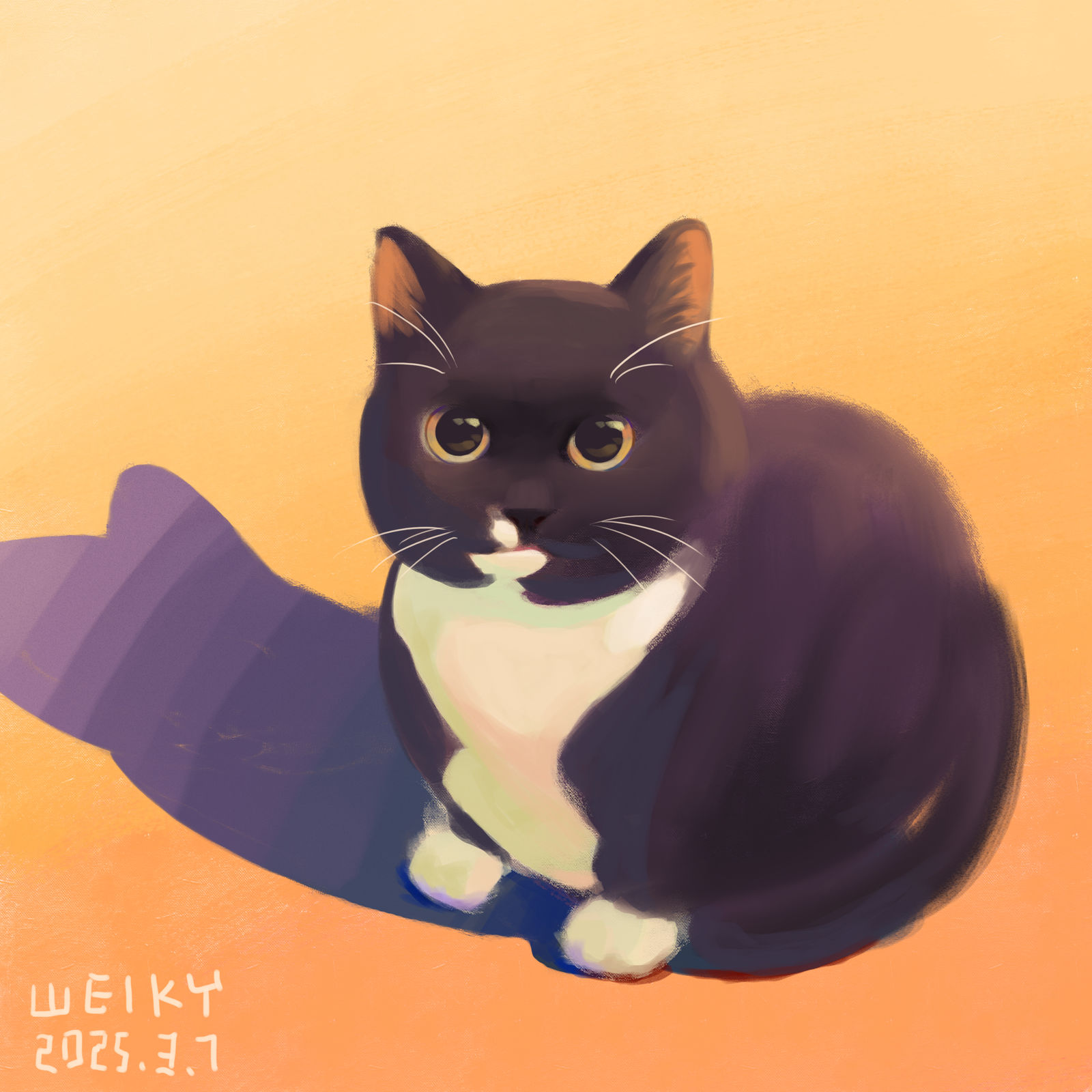 涂一只小黑猫