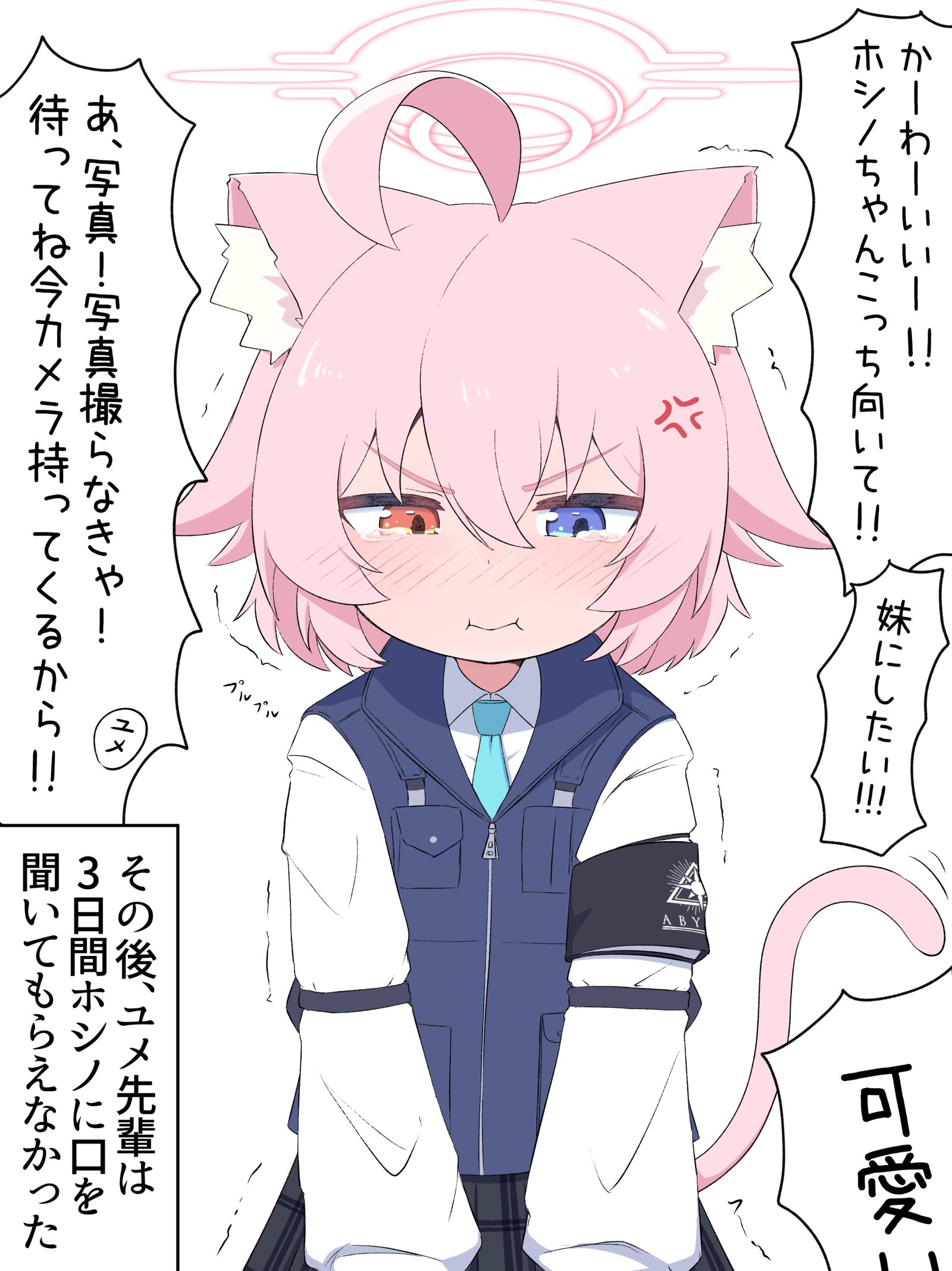 被柚子前辈表扬的猫咪霍西诺（过去）插画图片壁纸